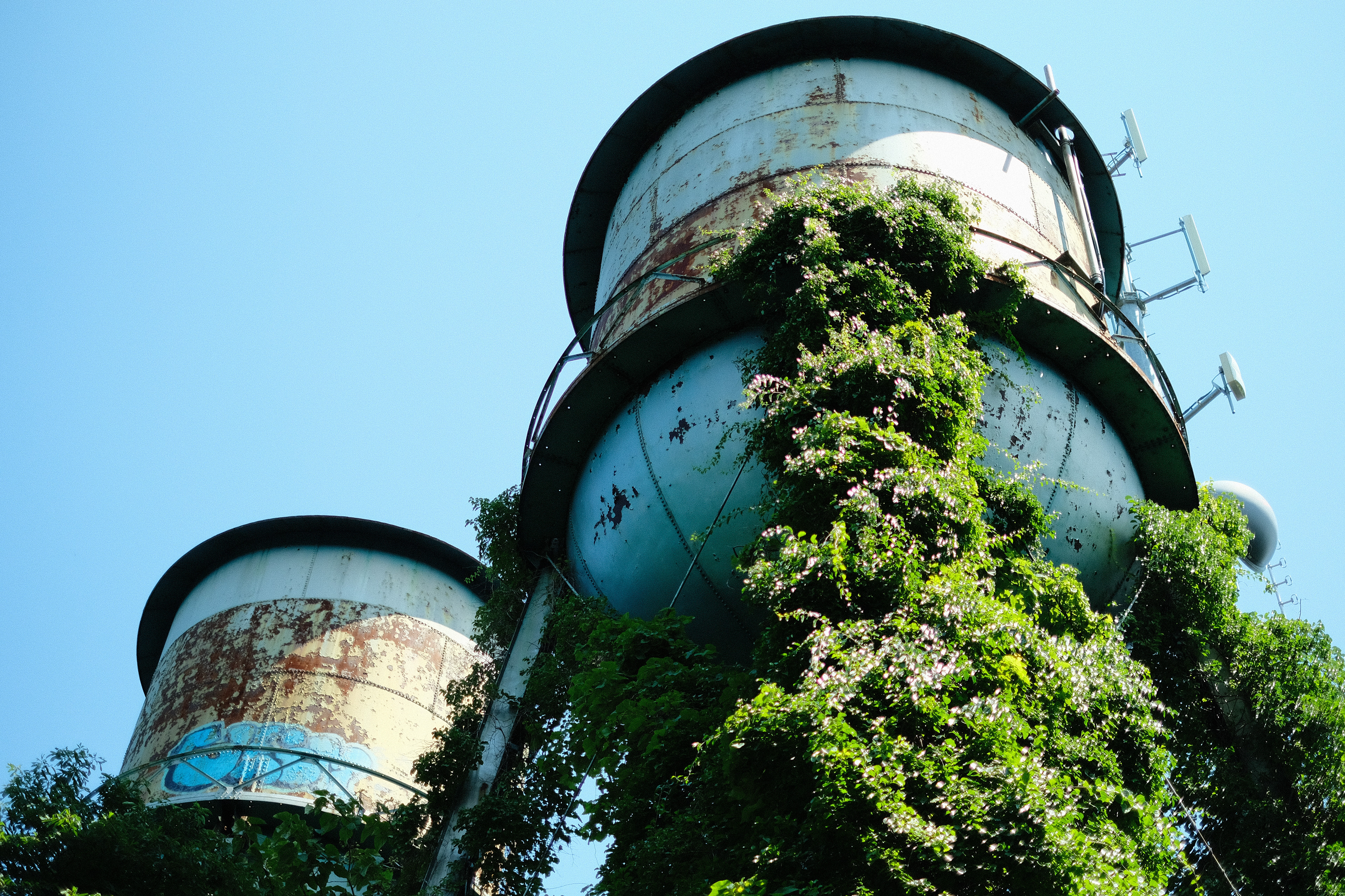 Overgrown water towers in Caumsett
