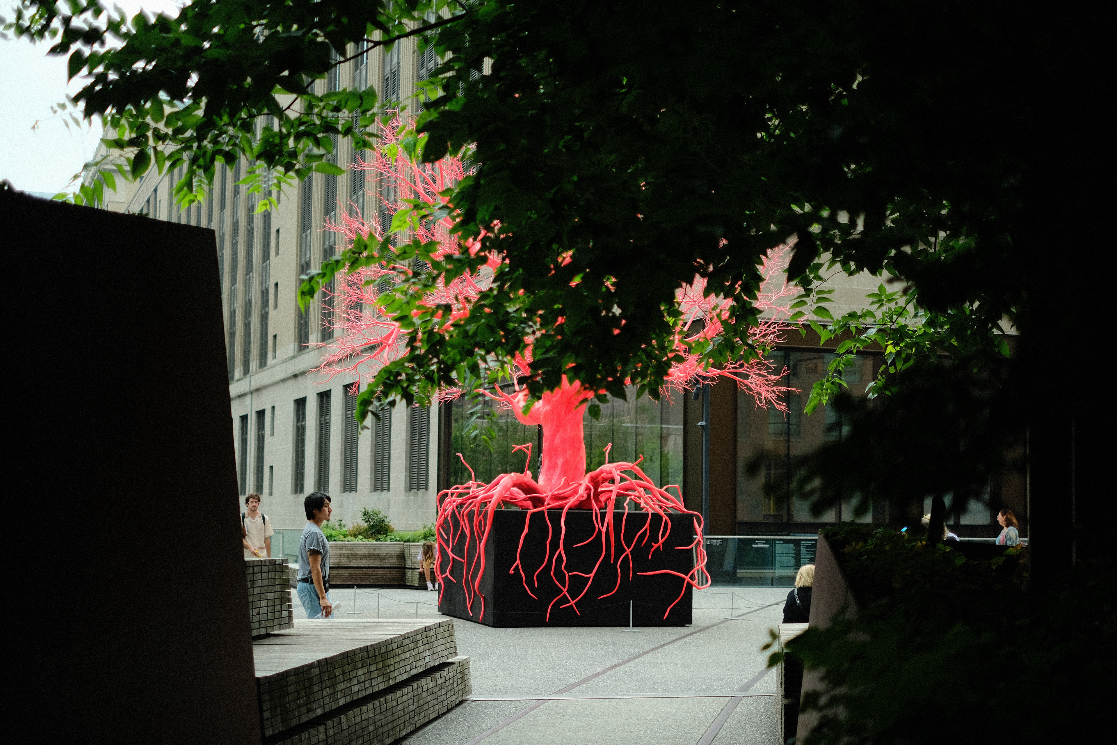 Red Tree on the Highline