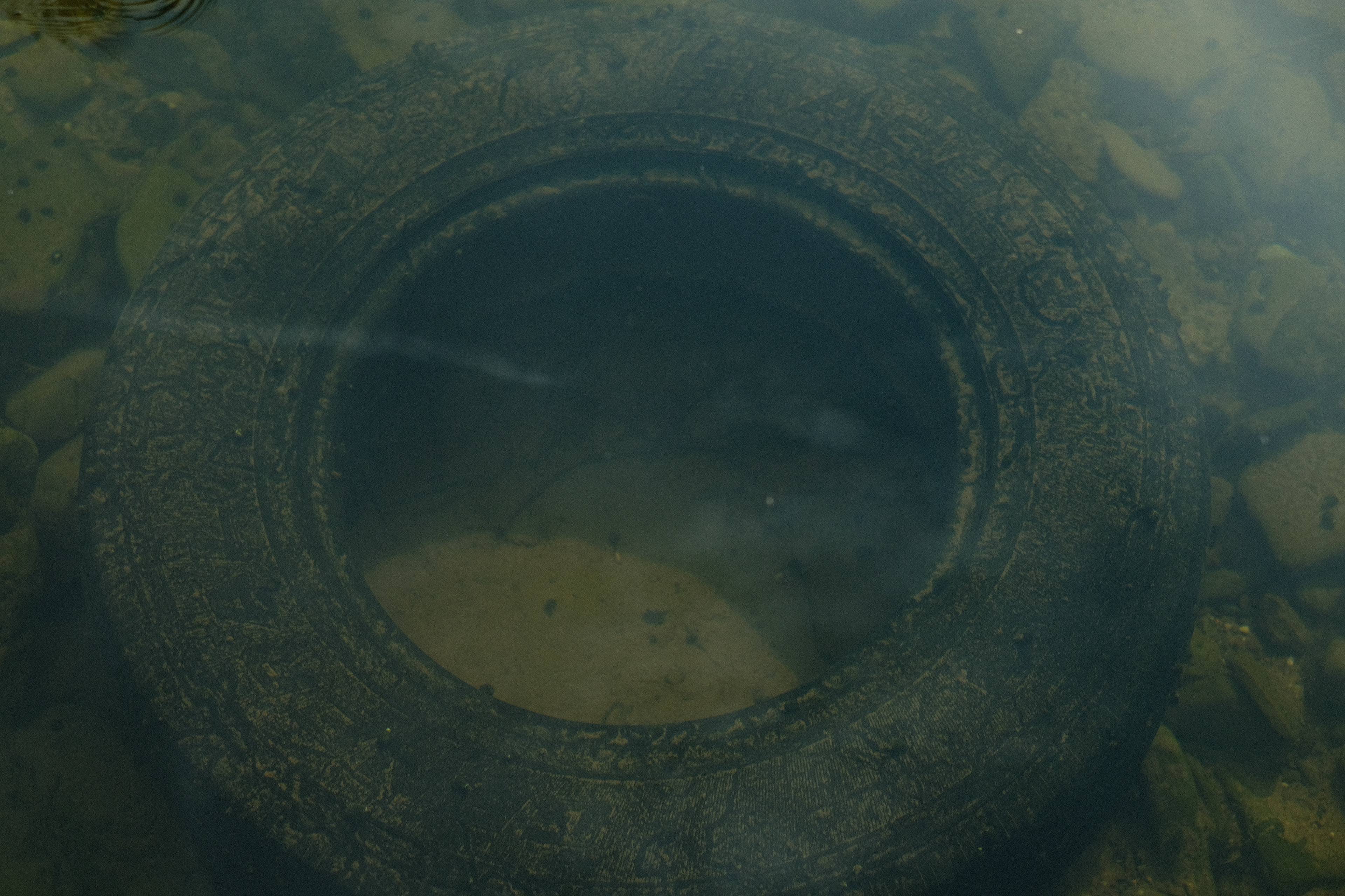 Spare tires hidden in the river