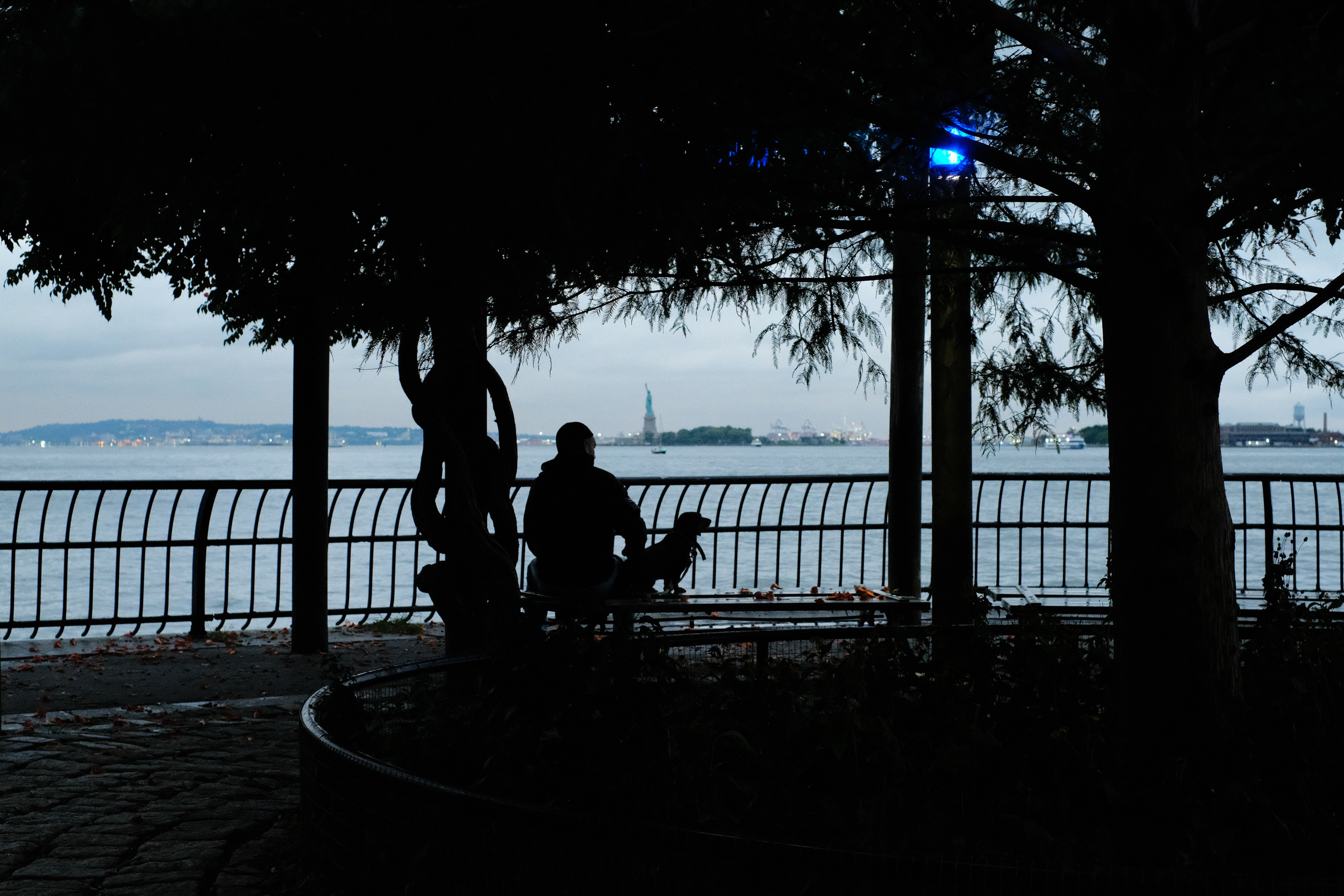 Man and his best friend and Liberty