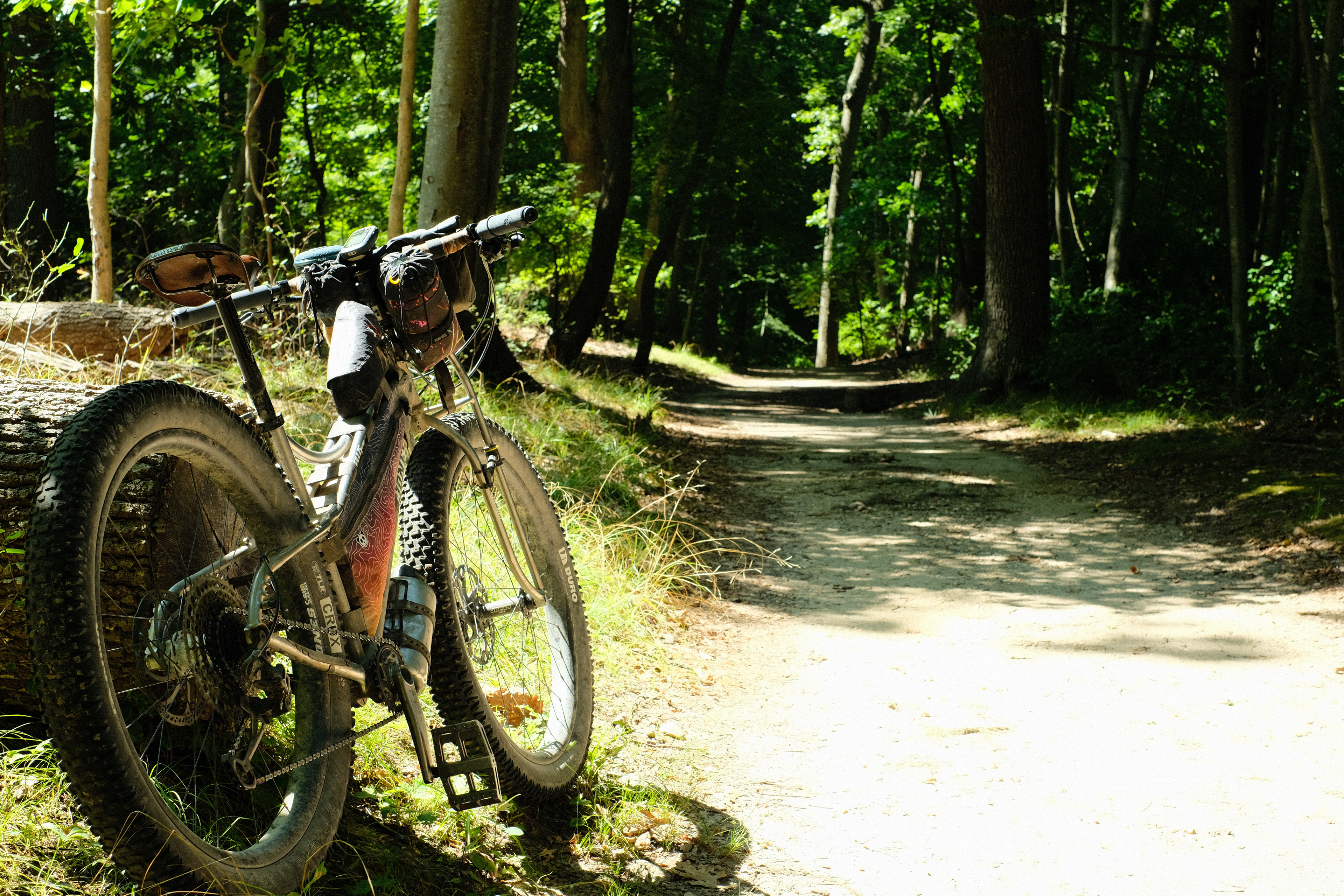 Bike trails in Caumsett State Park 