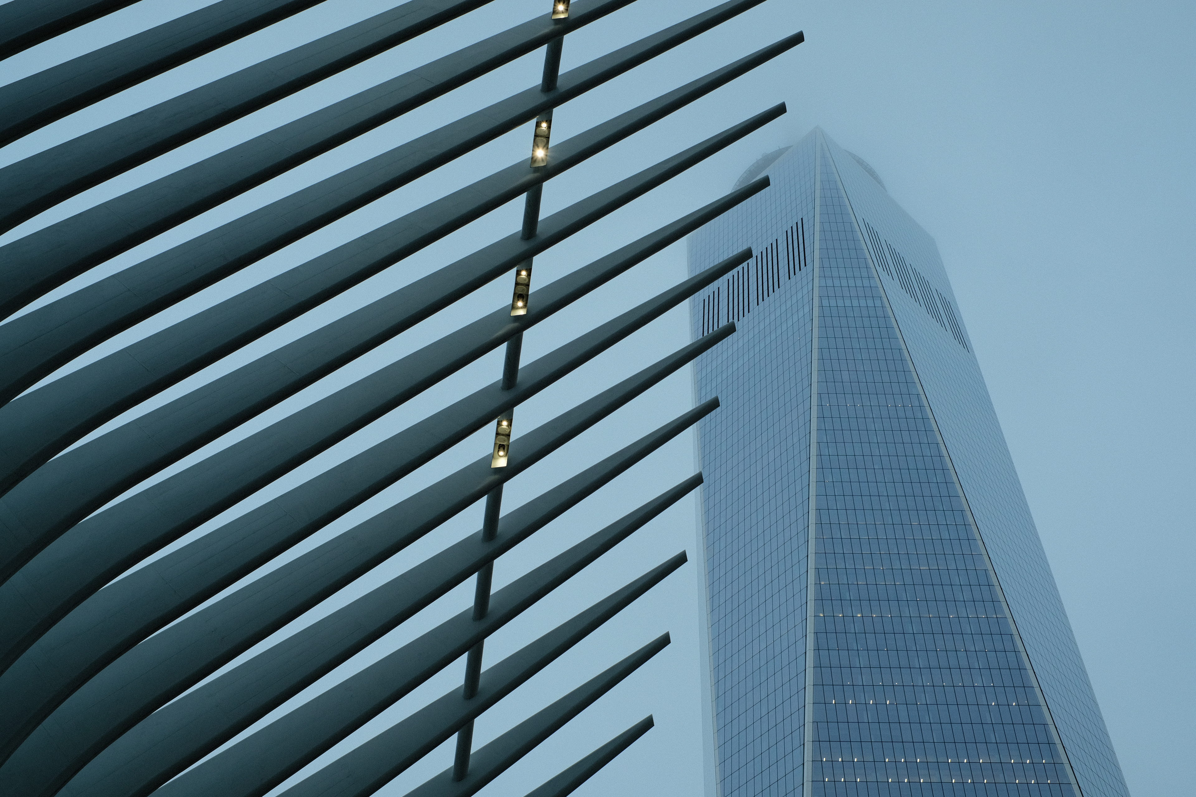 The Oculus and the One World Center