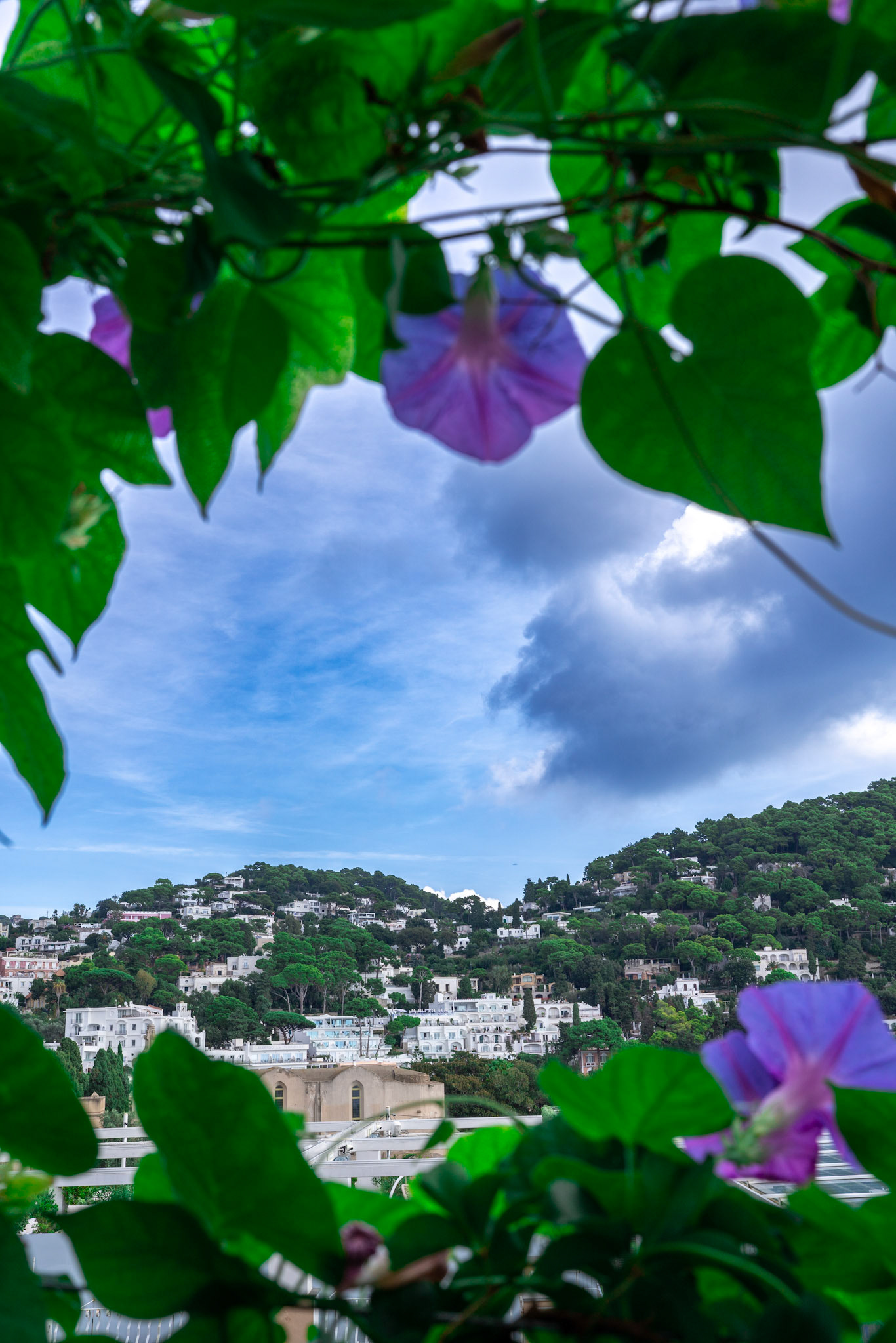 Capri Island