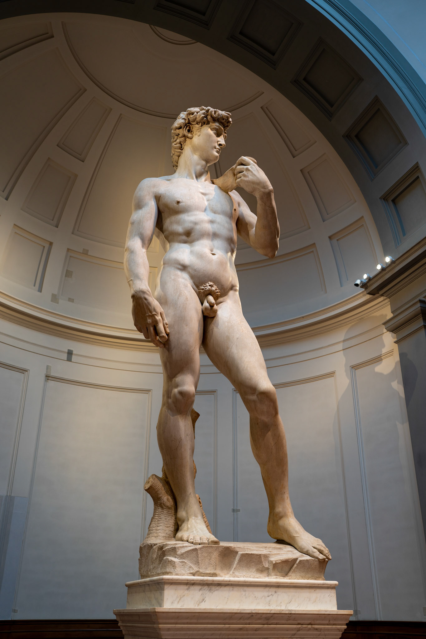 Statue of David, Florence Italy