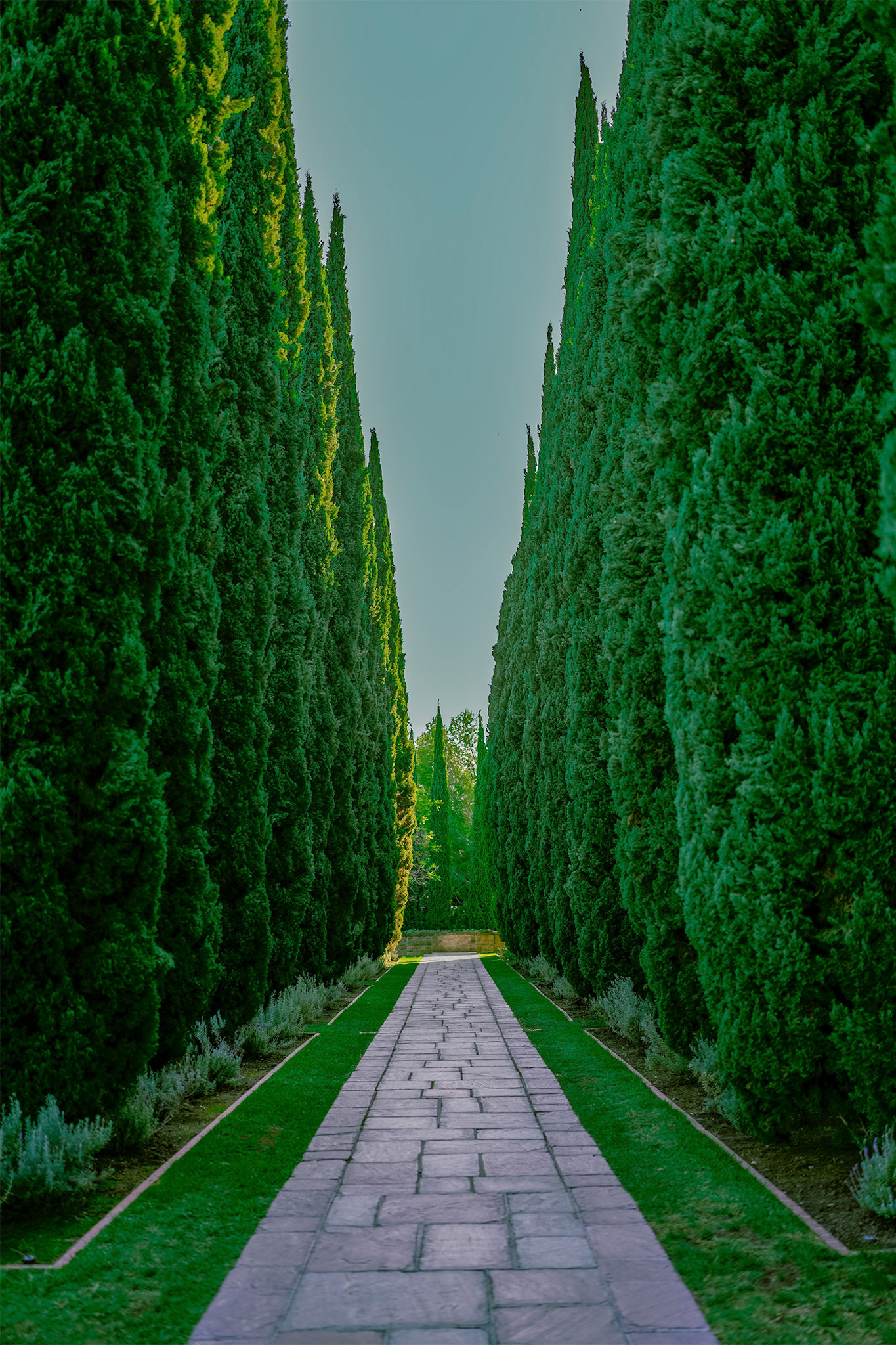 Hollywood, CA