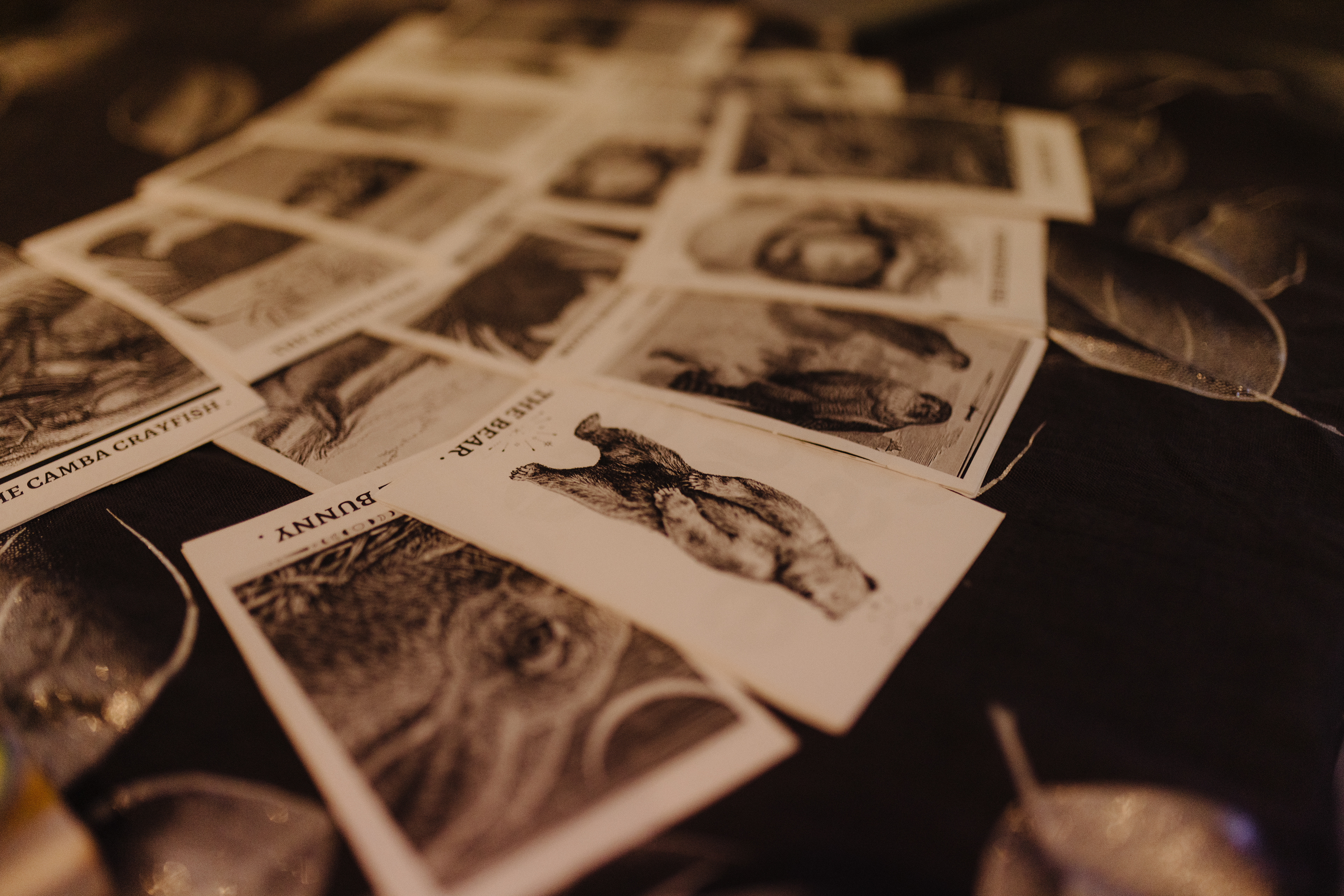 Photo: Brian Ho | Pictured: Ecological Tarot Berlin - Tarot Deck by Nicole Padilla