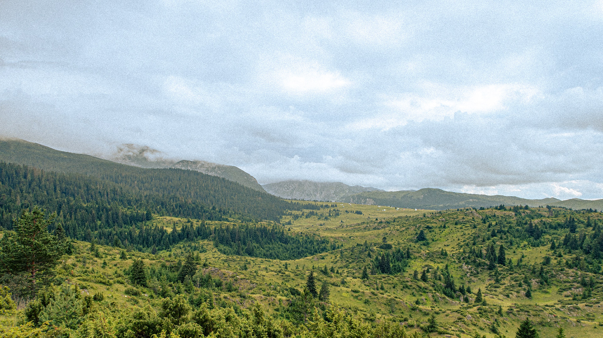 Région du Durmitor, Monténégro