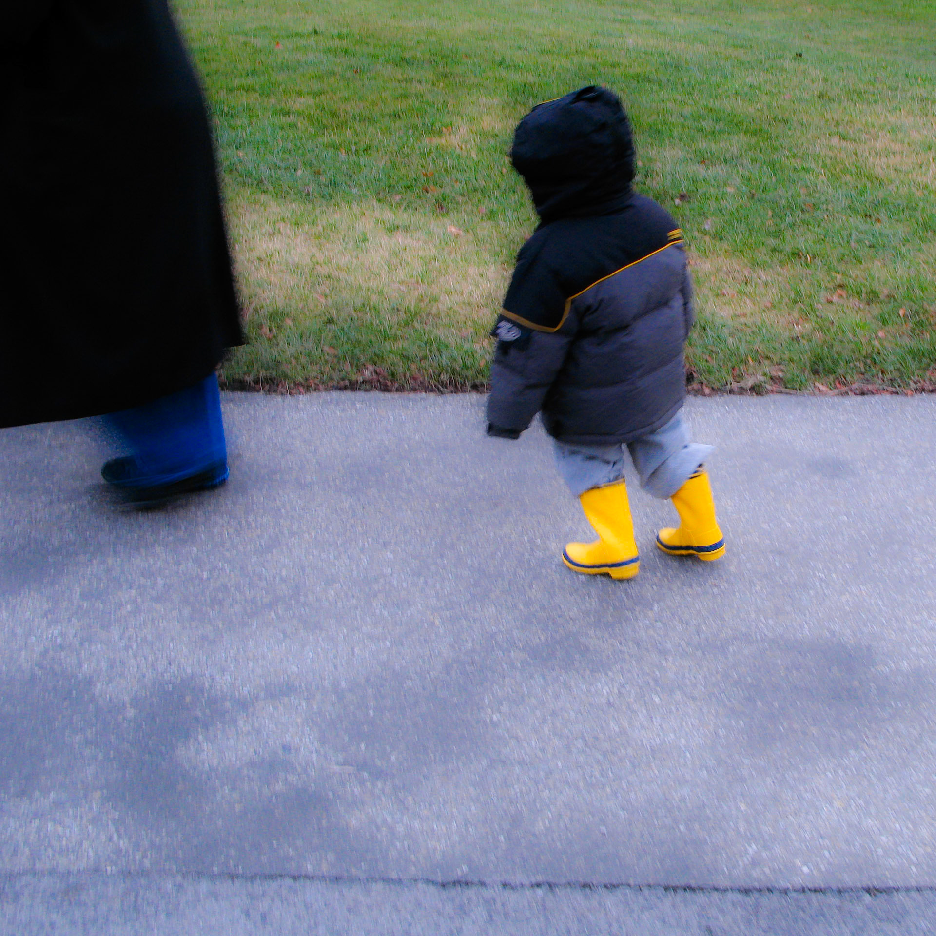 Yellow Boots. Wave Hill '07