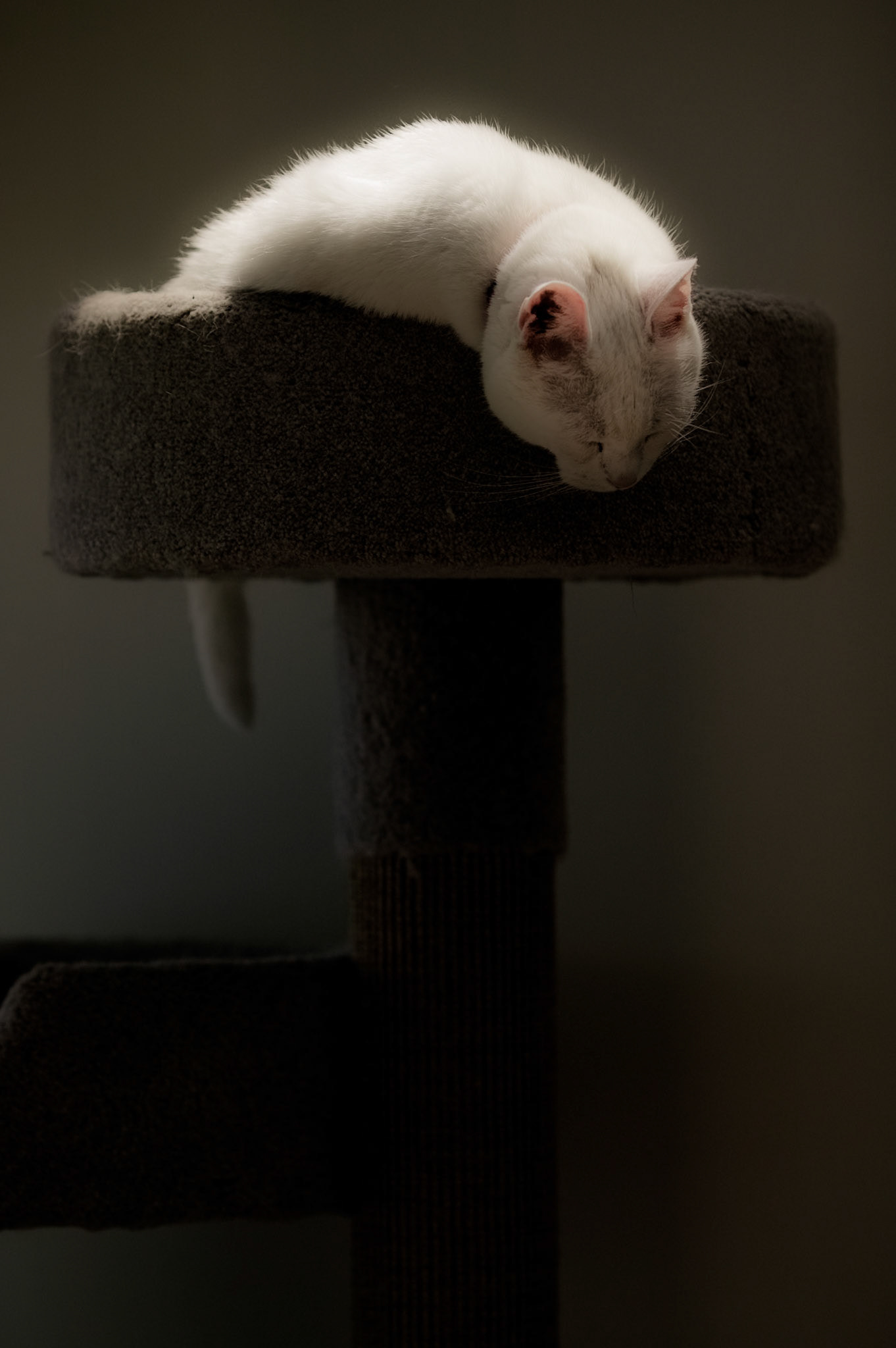 Bertie.  May 14, 2010