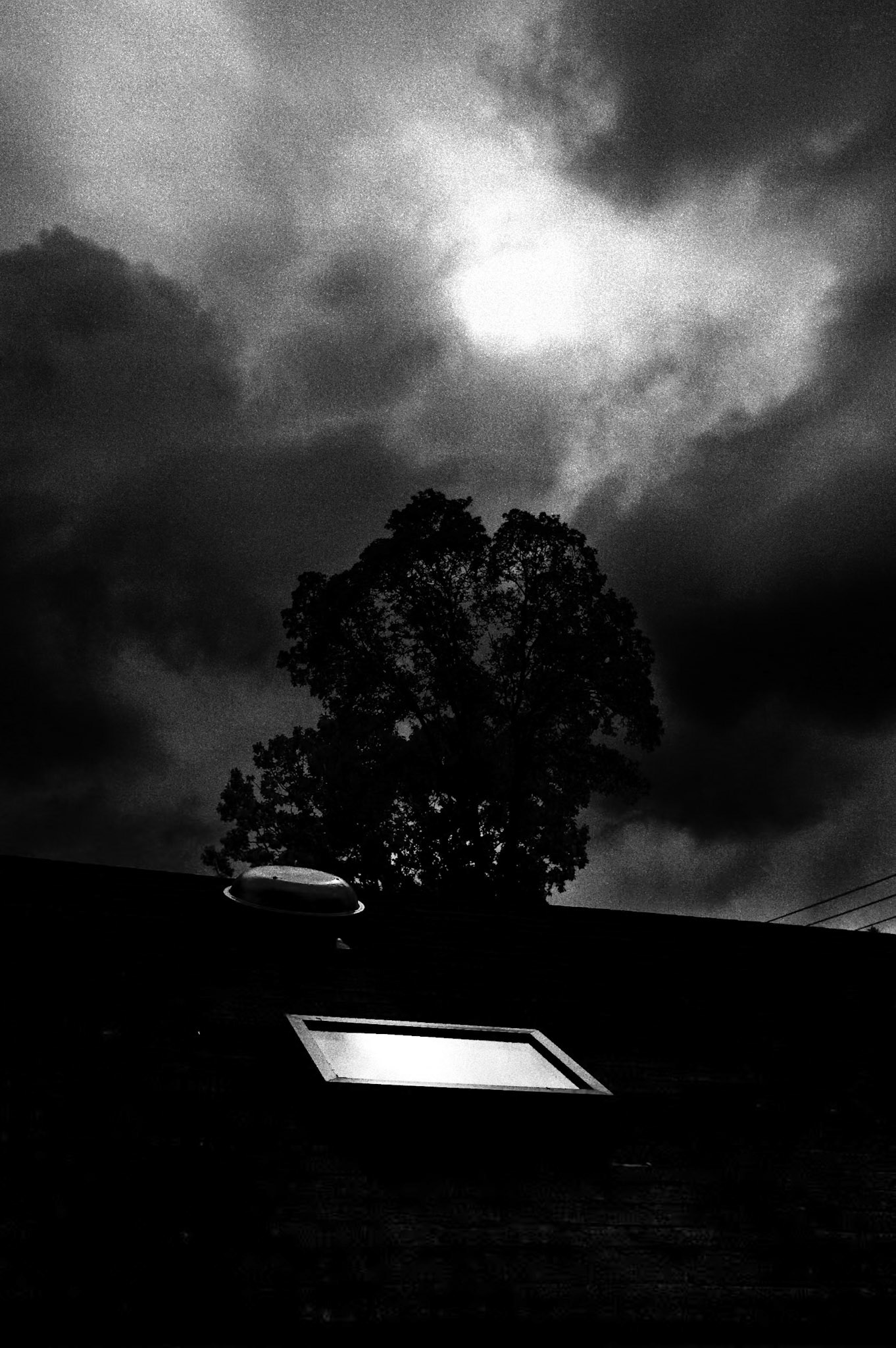 DX0 Film Pack: Rolliei IR 400, Blue Filter, Gold Tone