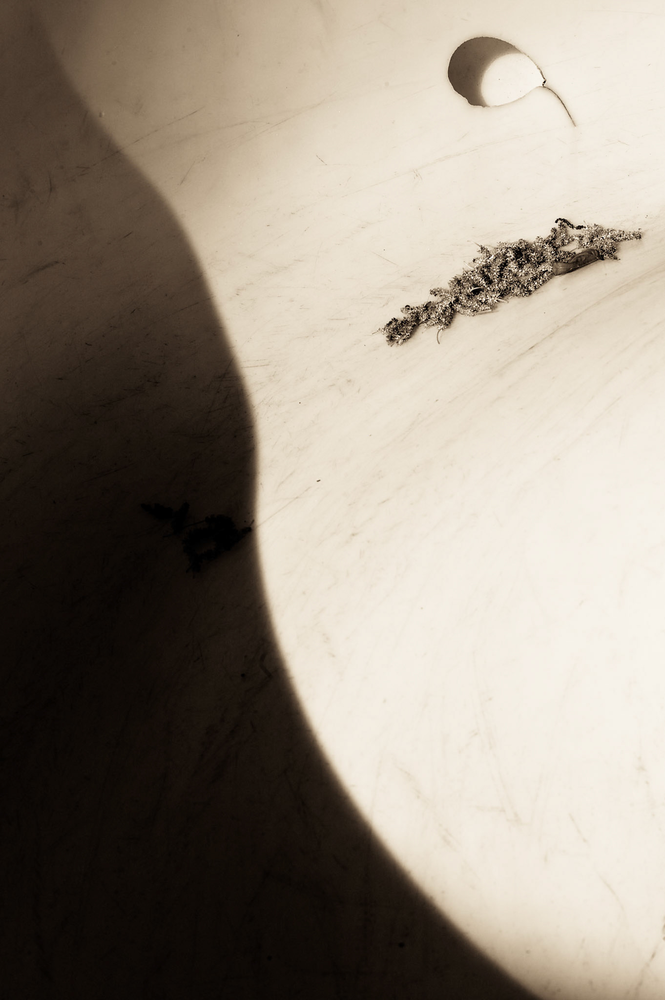 Sliding Pond Study No. 2 "Guitar" May 15, 2010