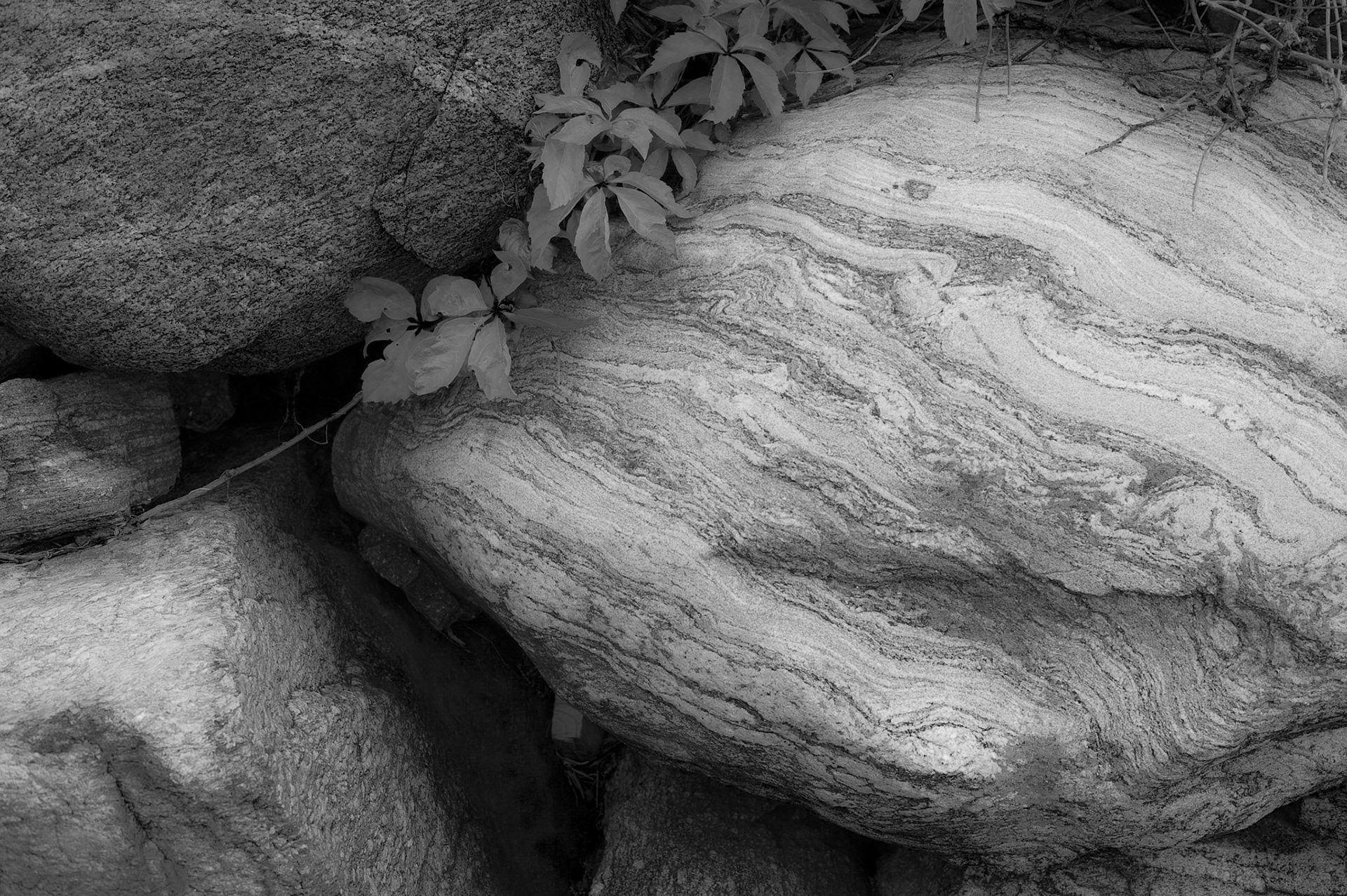 Sea Wall Detail.  Beacon Hill Beach Colony, May 14, 2010