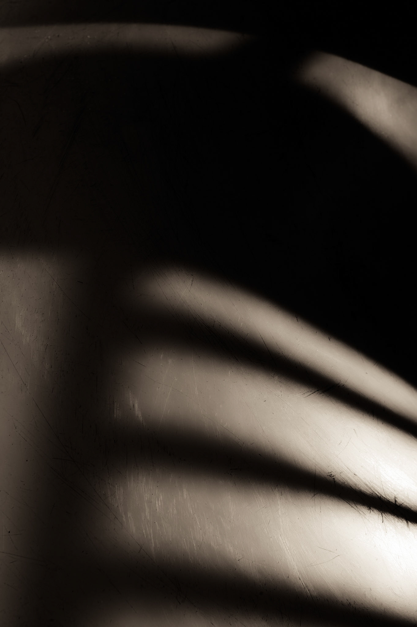 Sliding Pond Study No. 2, Nov. 6, 2010