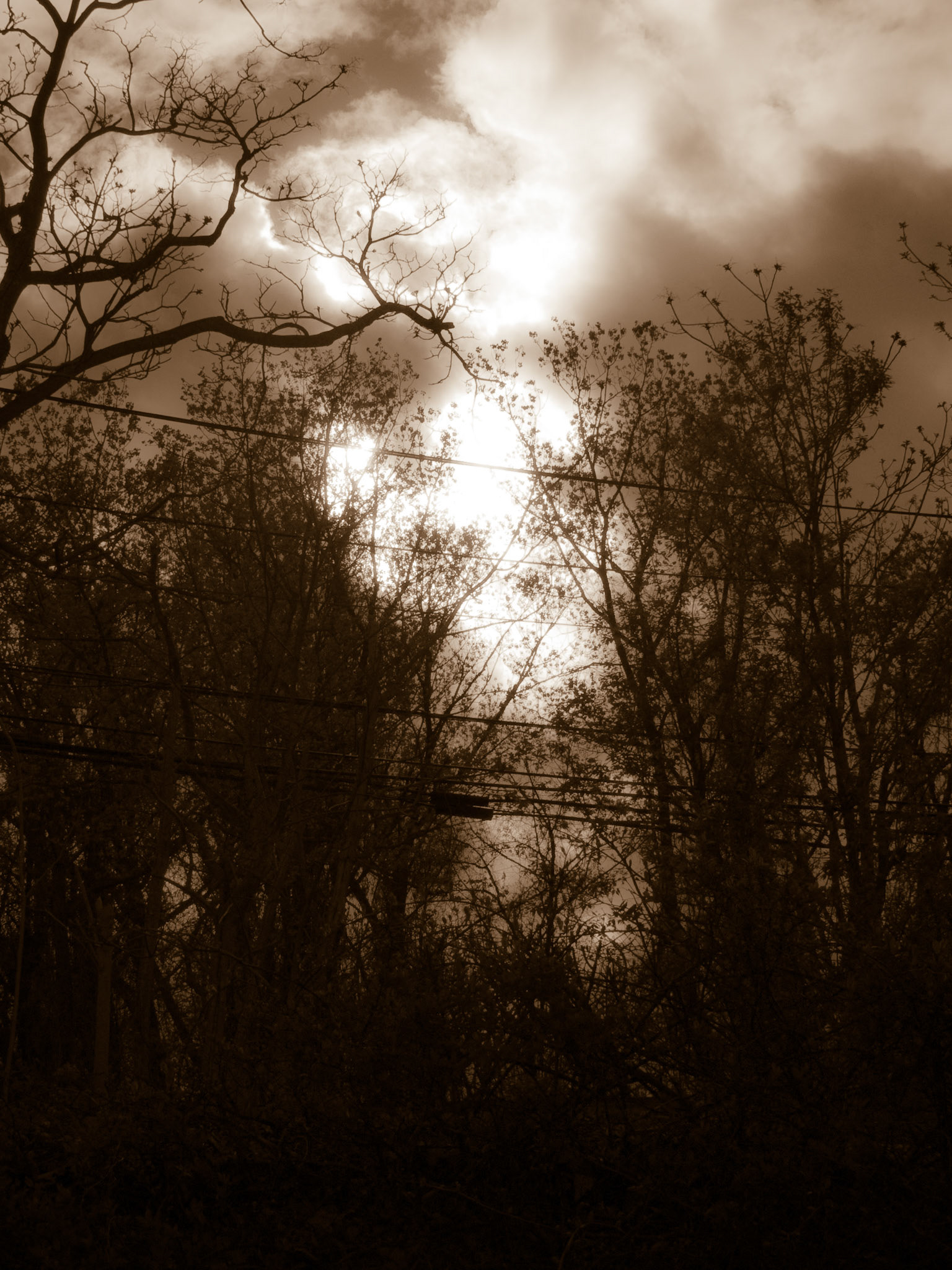 West Shore Road from Beach in Style of Atget. April 18, 2010