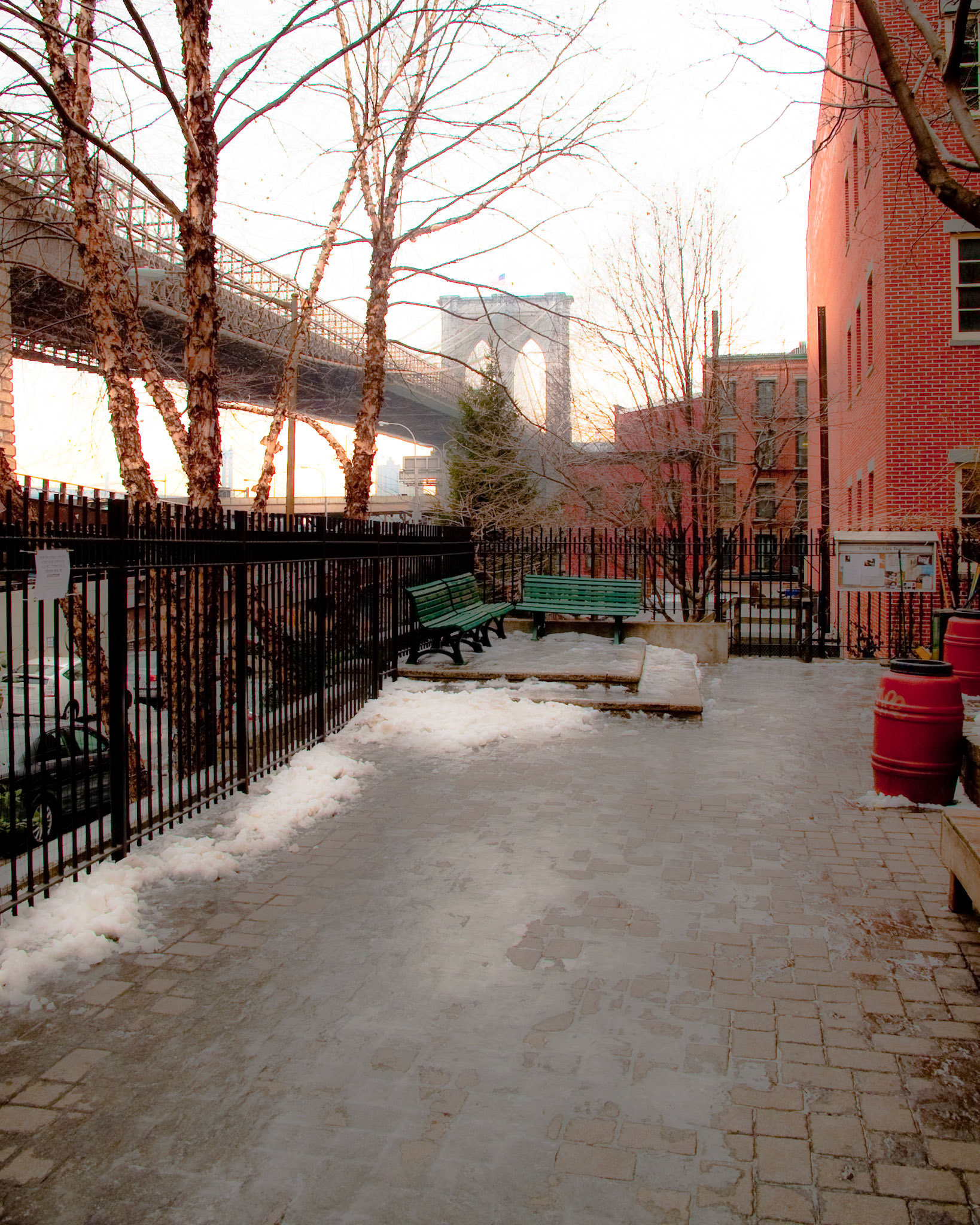 icey Fishbridge Dogrun, '09