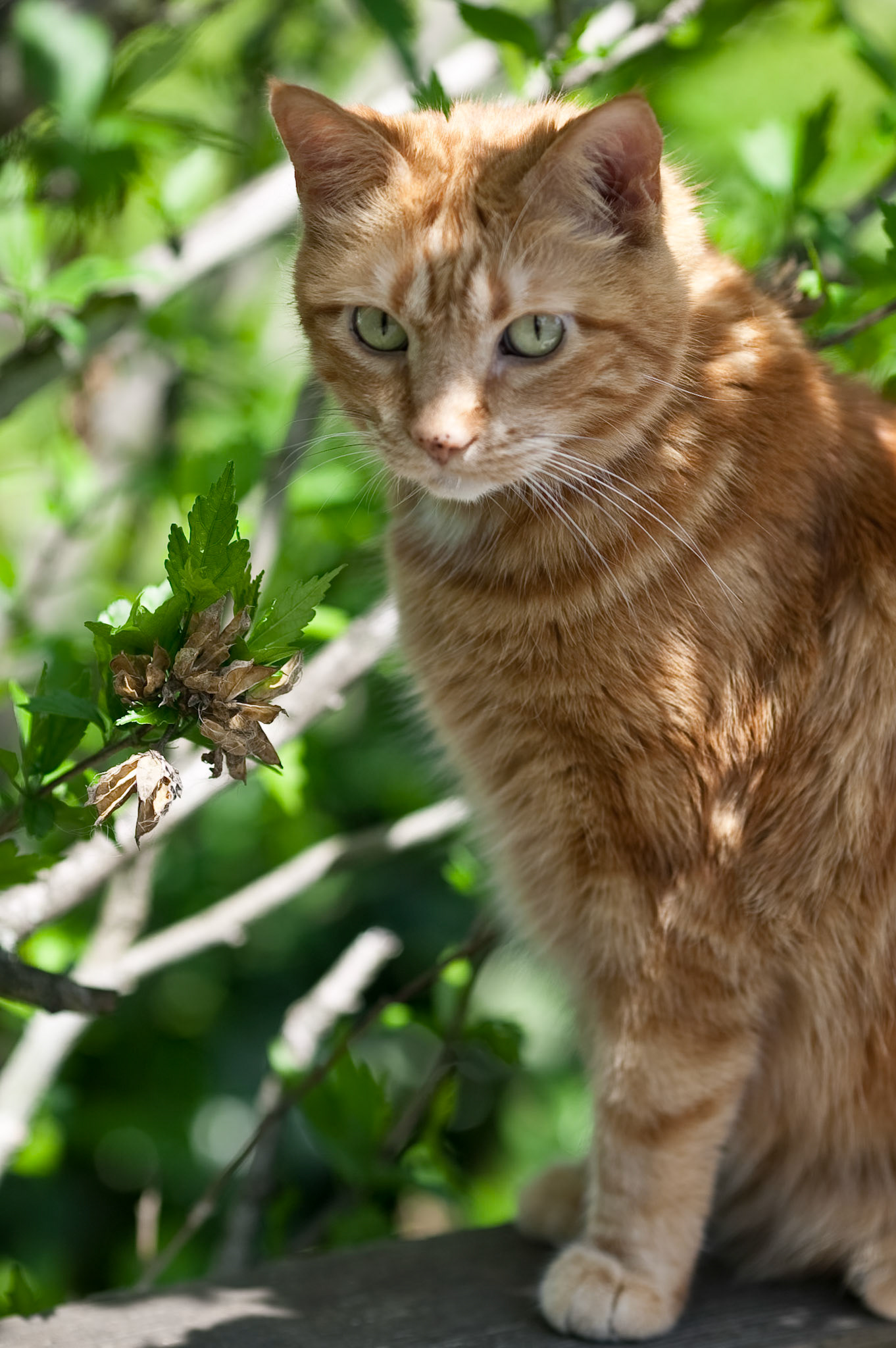 Cooper. May 14, 2010
