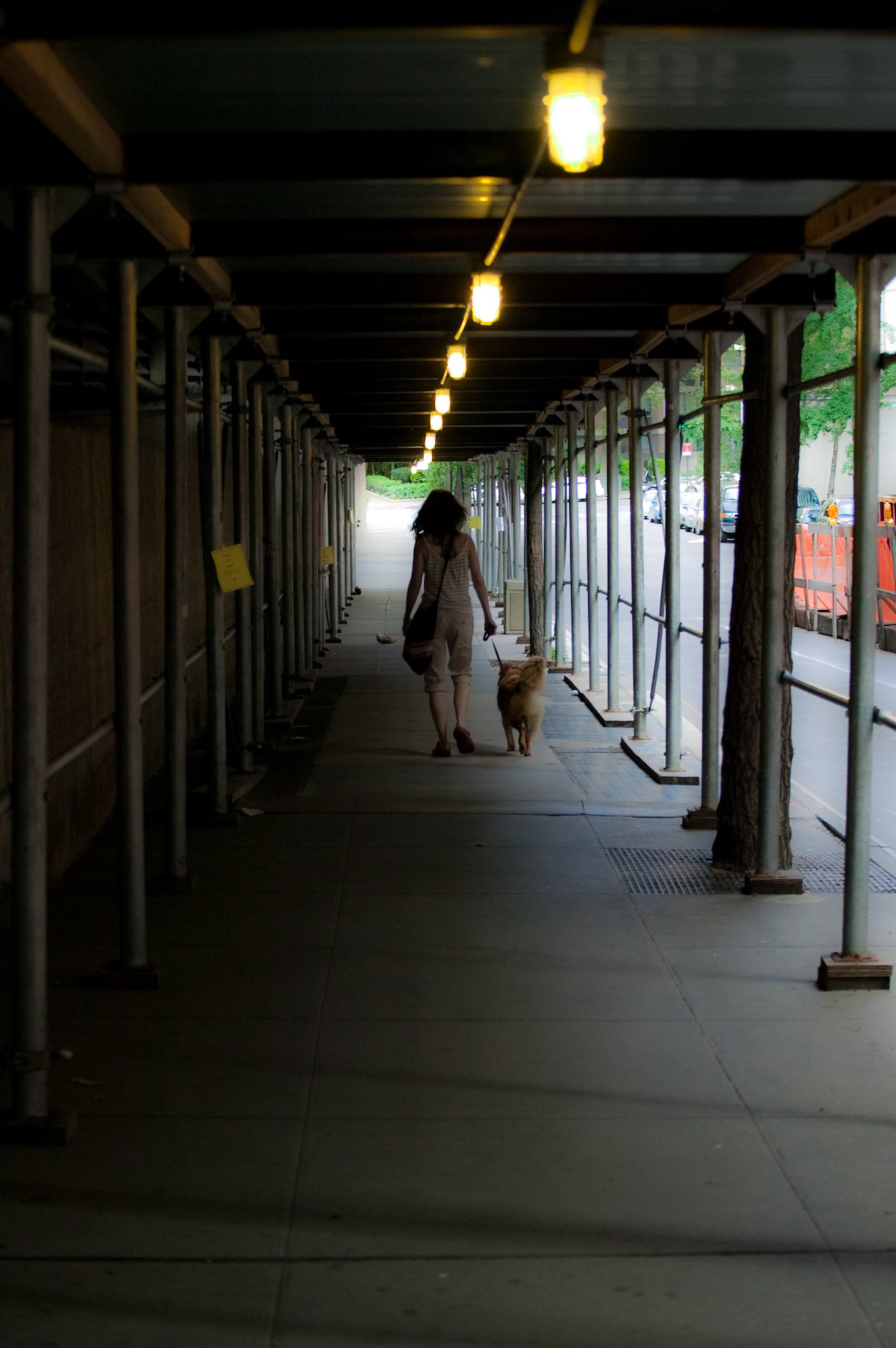 Annie &amp; Sadie Headed Home, July 3, 2009
