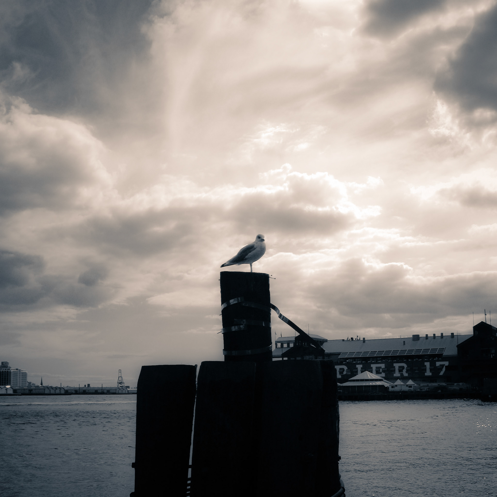 Cliché Variation, Sept, '07