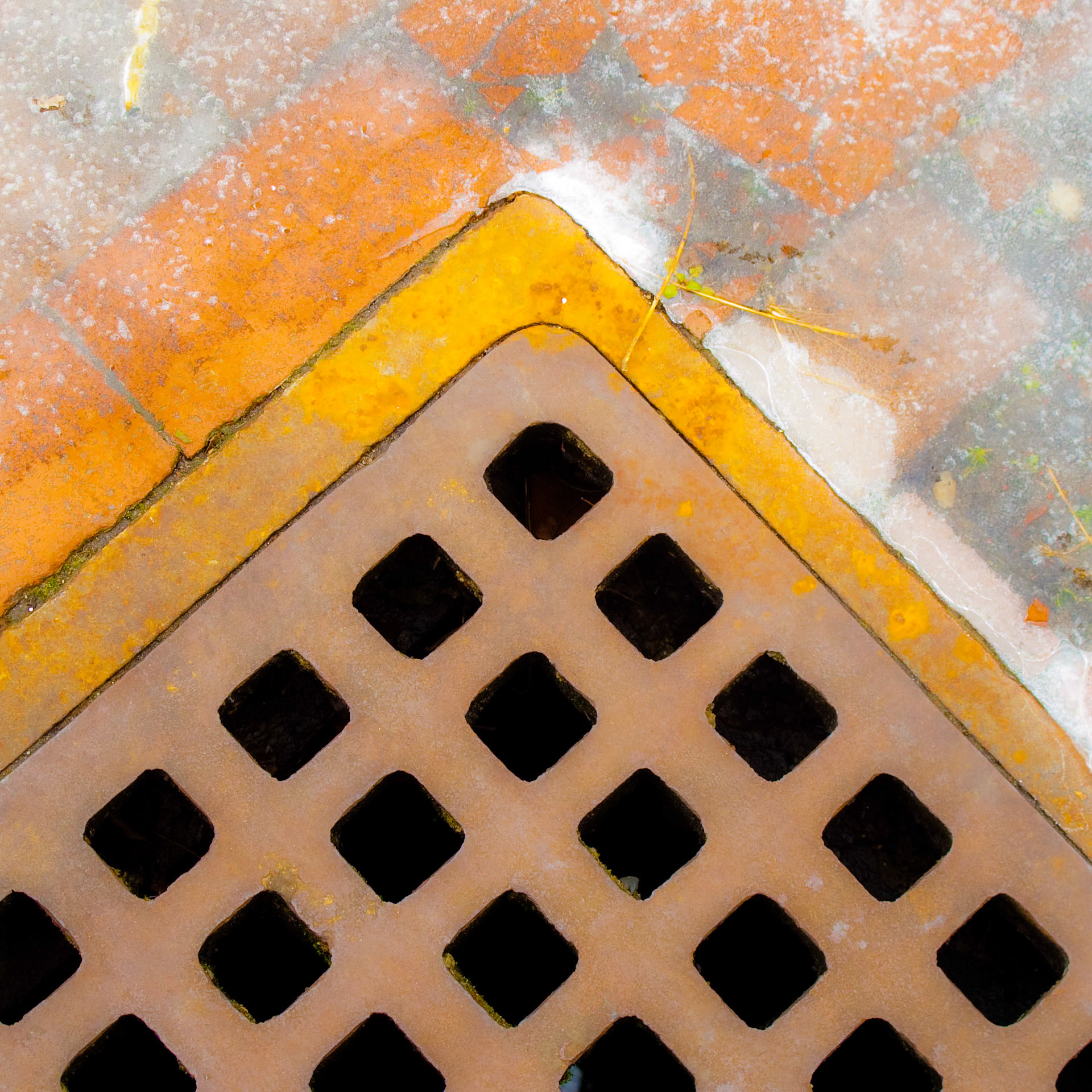 Detail, Grate &amp; Paving Stones, NY '09