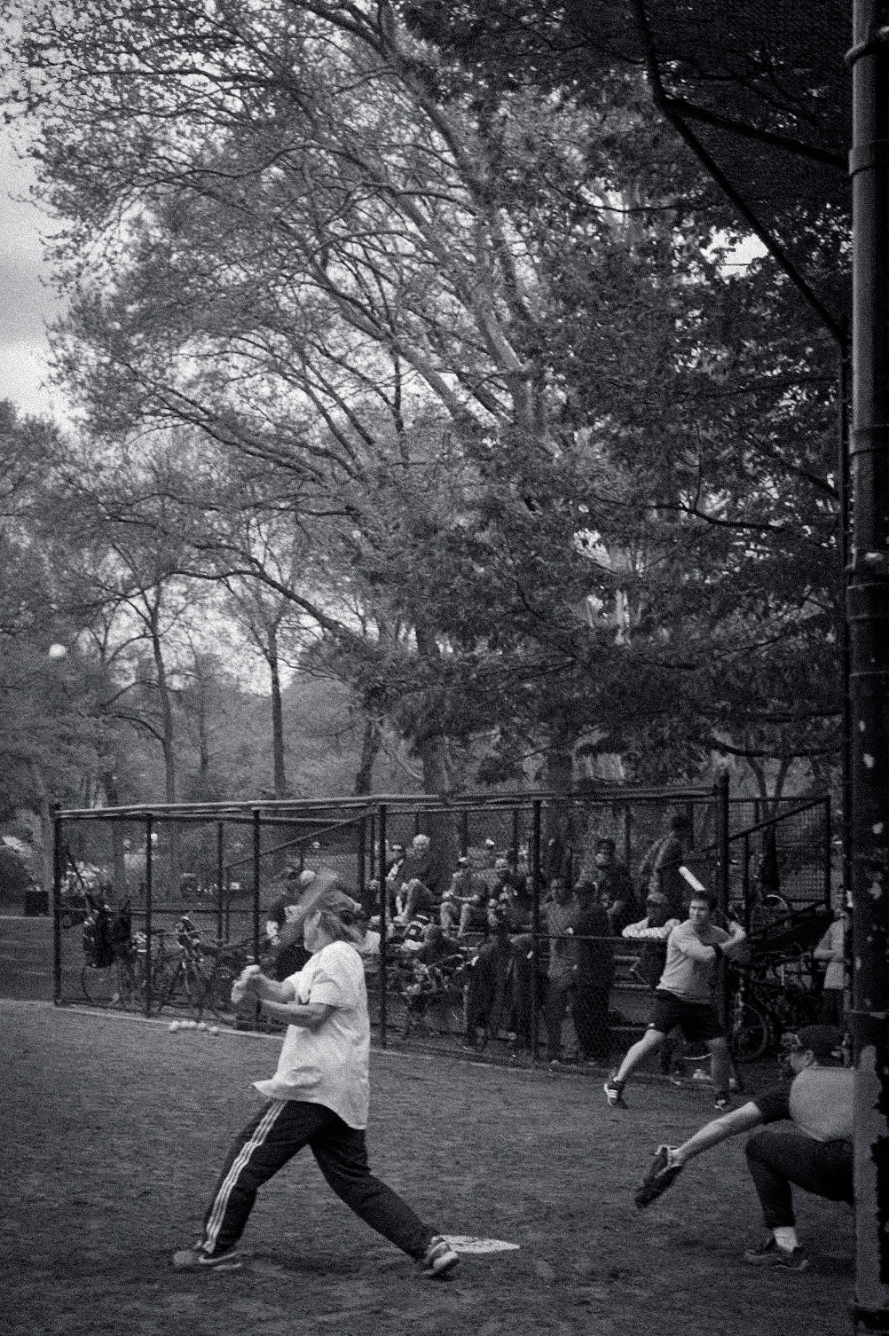 Central Park. April 29, 2011