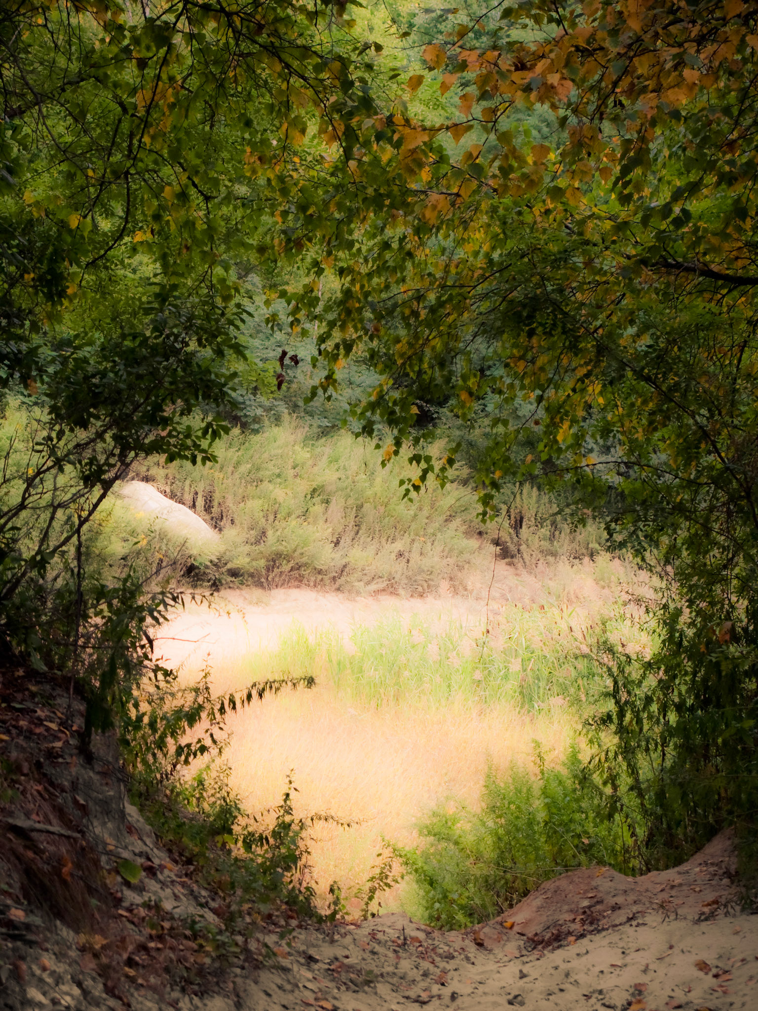 The Secret Place.  9-12-10