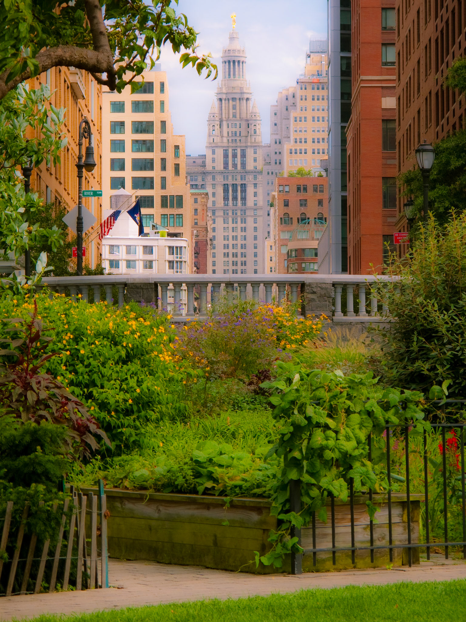 Municipal Building from Battery Park City, August 23, 2009