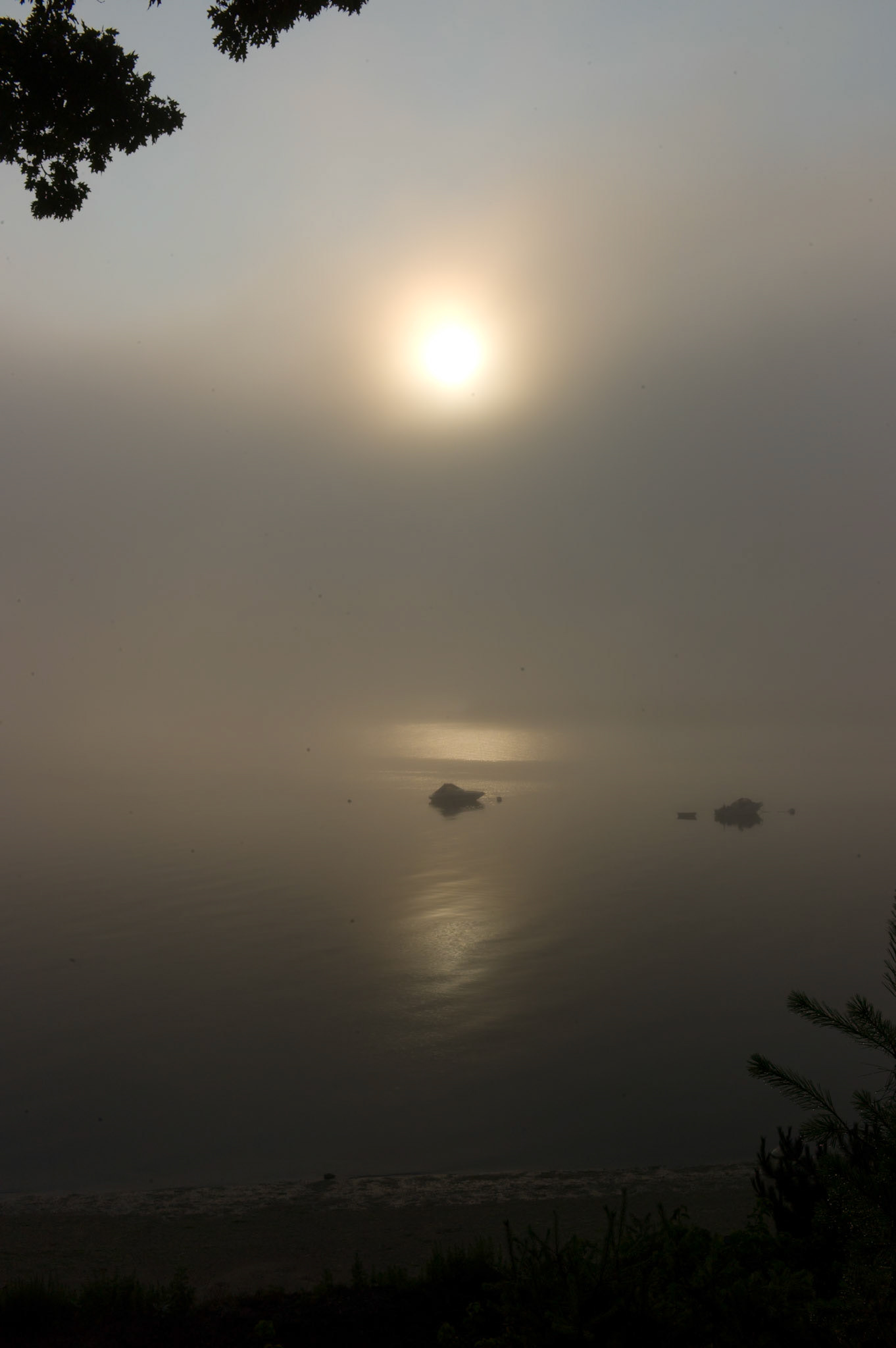 Sunrise over Hempstead Harbor. 6-18-11