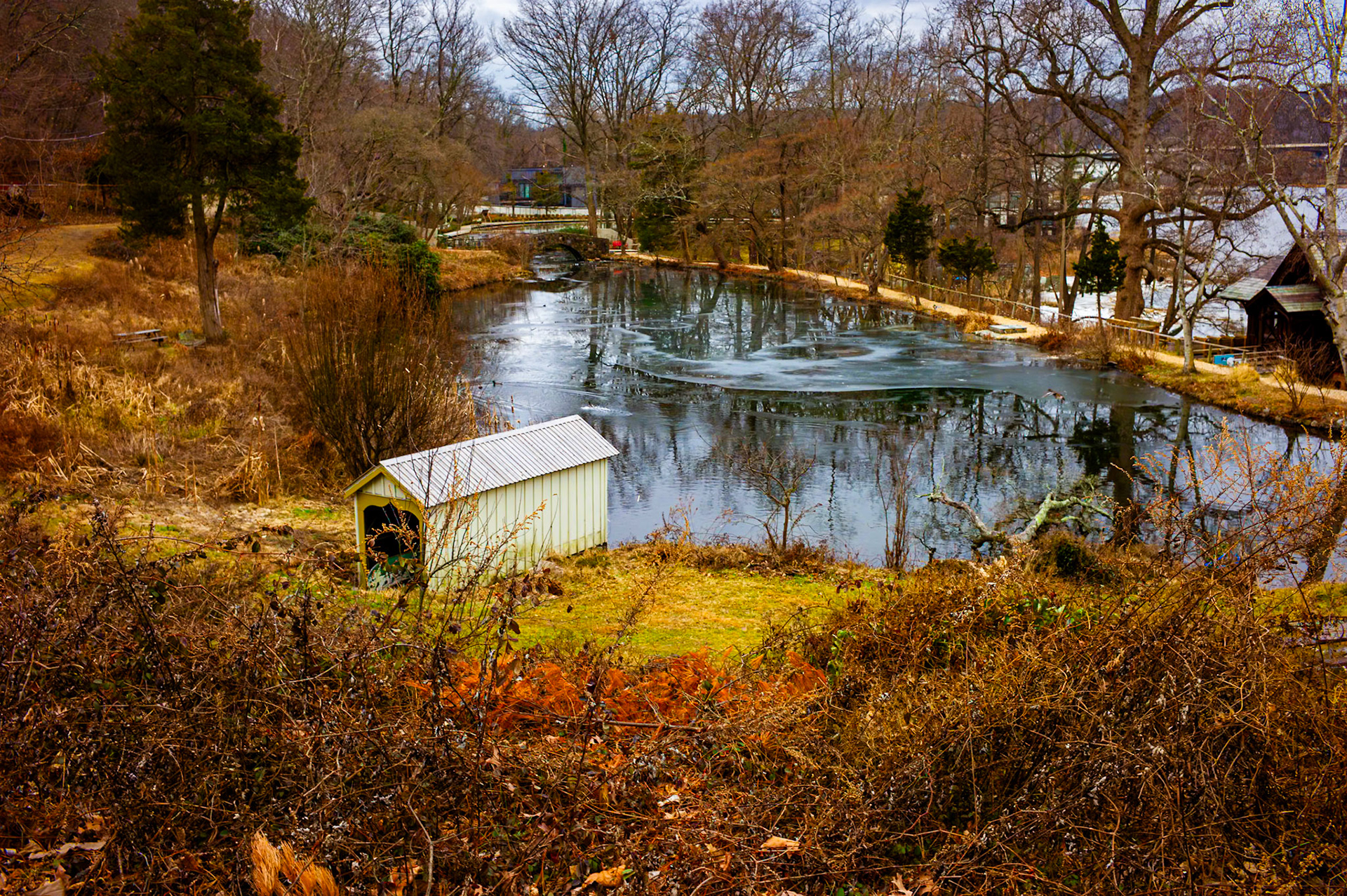 Cedarmere