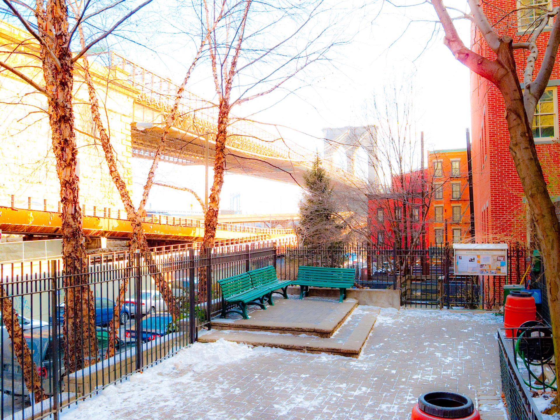 Fishbridge Dogrun, January, '09