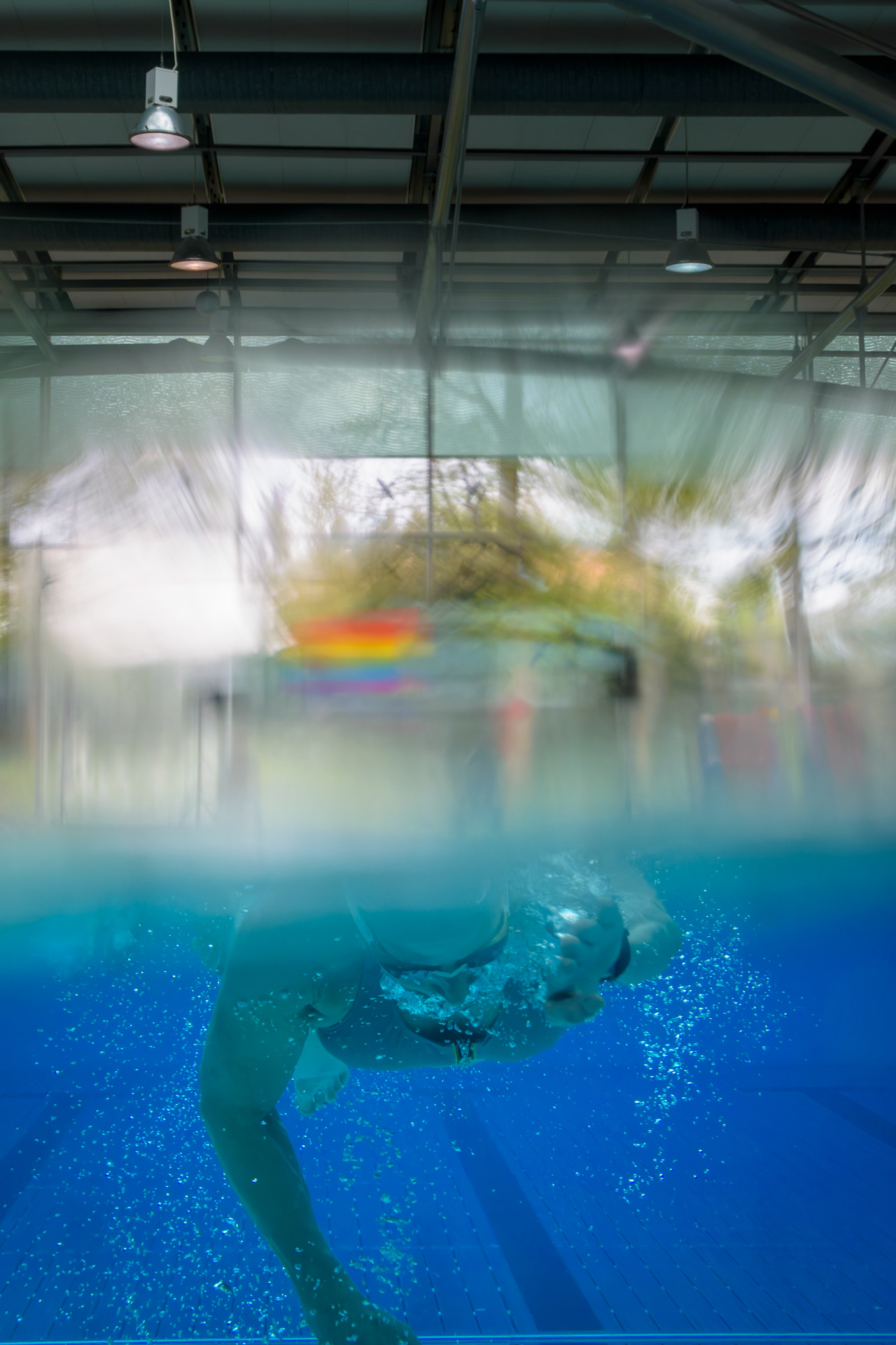 Natathon organisé par la ville de Vernier et H2O Genève au profit du Refuge Genève et du Salon de Sylvia. Trois heures de natation pour récolter des fonds - Pour la ville de Vernier - Avril 2025