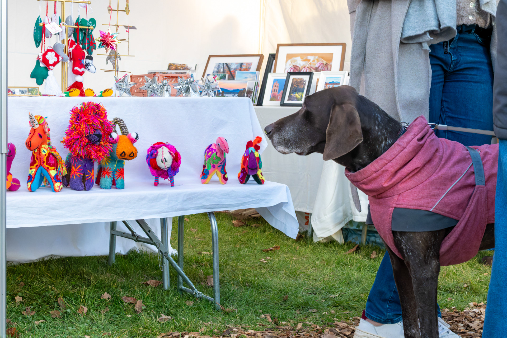Marché de Noël de Bellevue - Novembre 2025 - Pour la commune de Bellevue