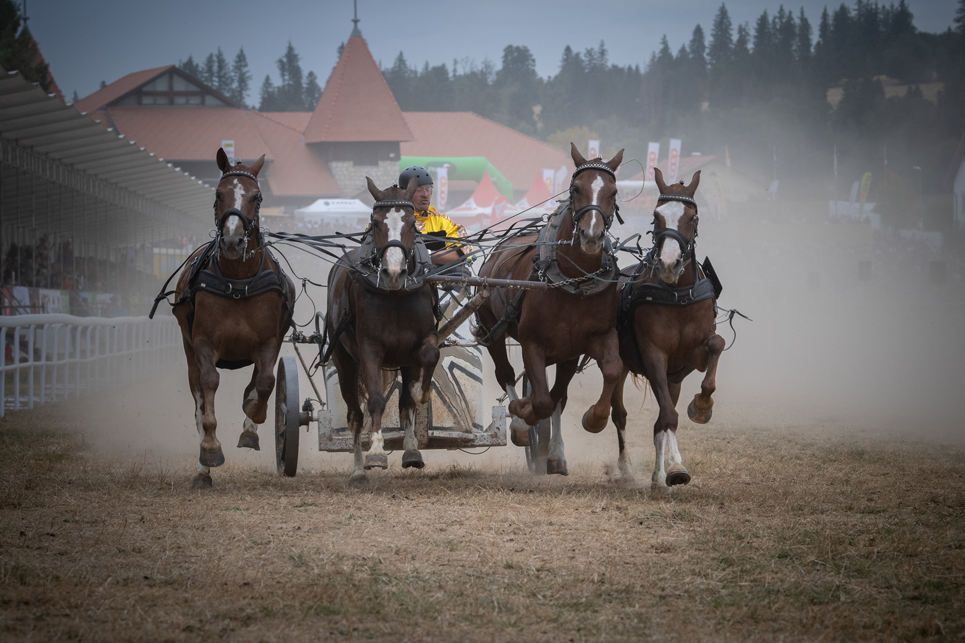 MARCHE-CONCOURS NATIONAL DE CHEVAUX DE SAIGNELEGIER - POUR LE MARCHE-CONCOURS - AOUT 2022