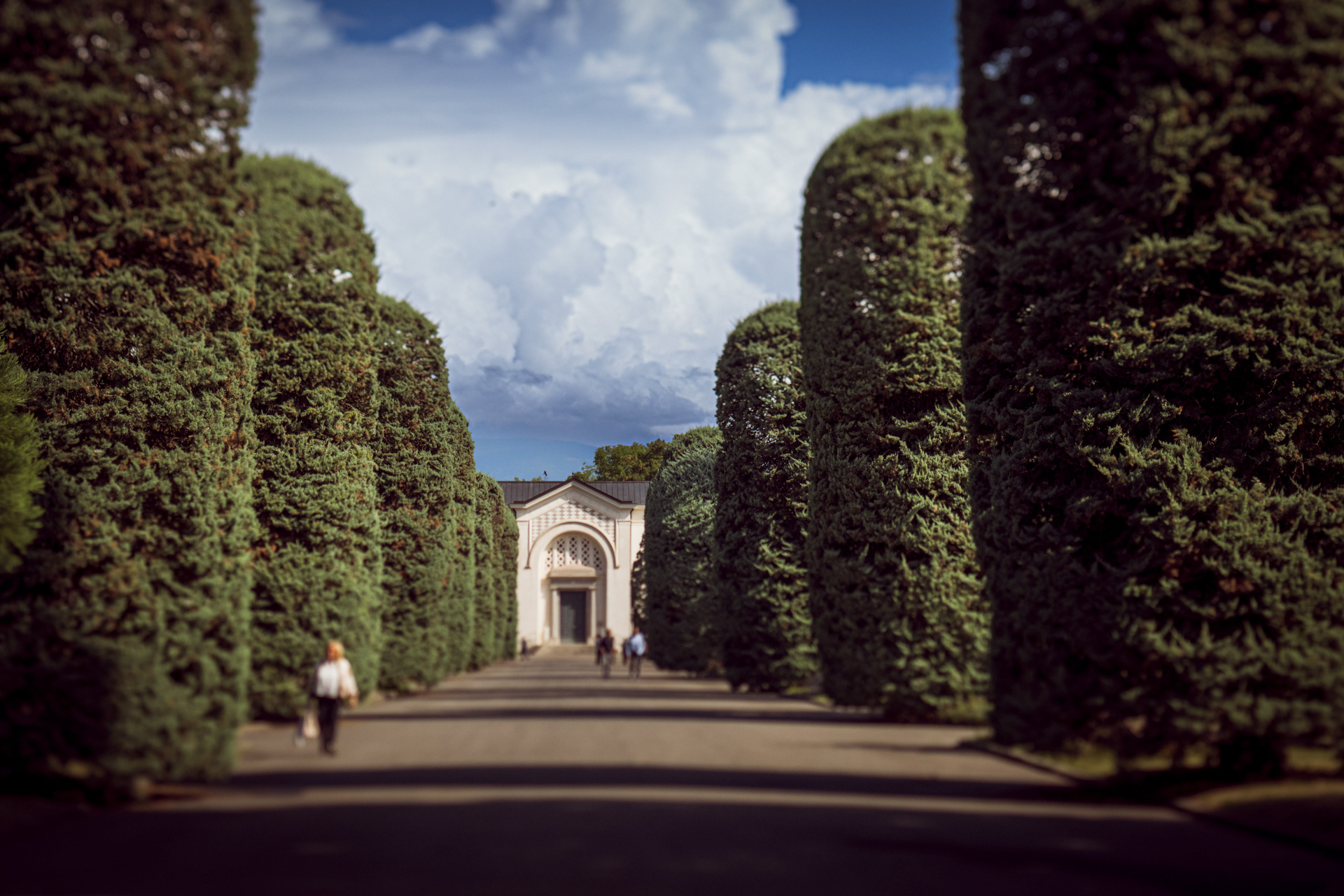 Cimetière de Saint-Georges - Genève - Juillet 2025