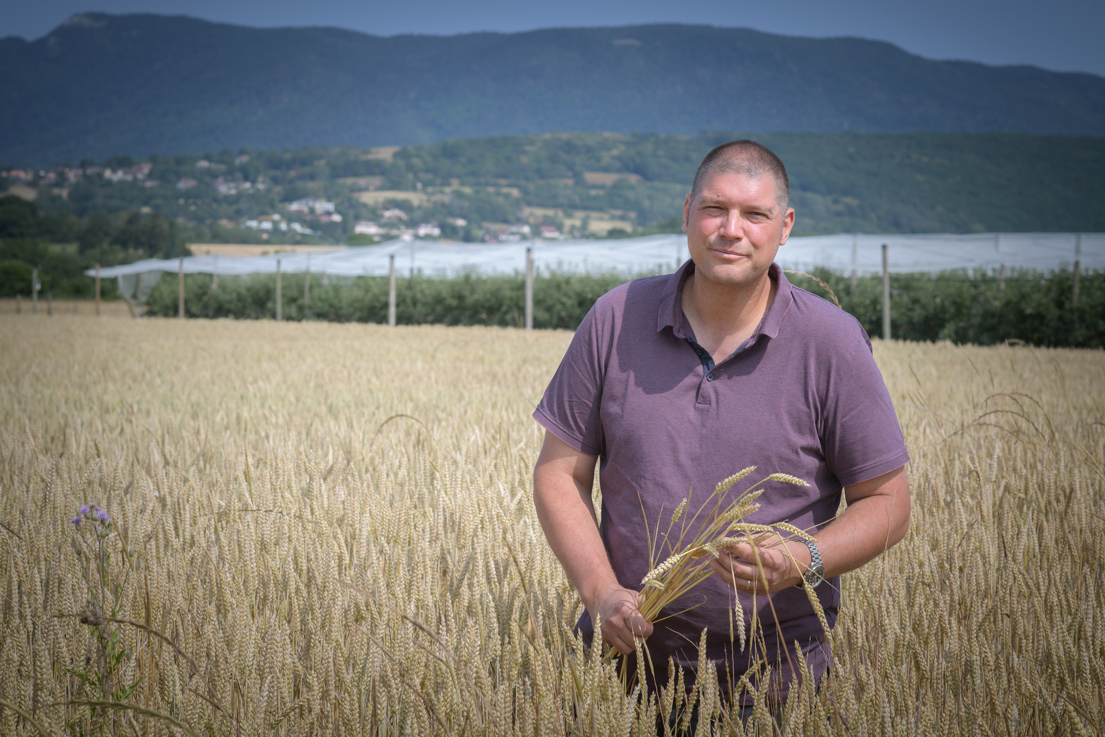 CHRISTOPHE COURTOIS, AGRICULTEUR - TRIBUNE DE GENEVE - VERSOIX -  JUIN 2023
