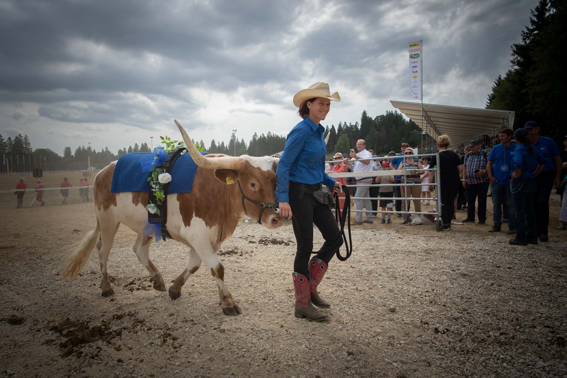MARCHE-CONCOURS NATIONAL DE CHEVAUX DE SAIGNELEGIER - POUR LE MARCHE-CONCOURS - AOUT 2022