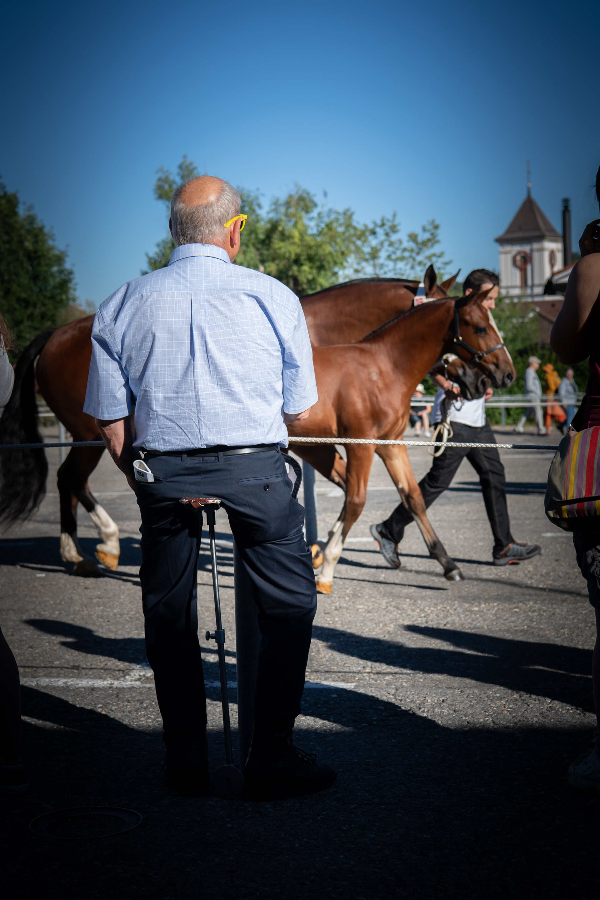 MARCHE-CONCOURS NATIONAL DE CHEVAUX DE SAIGNELEGIER - POUR LE MARCHE-CONCOURS - AOUT 2022