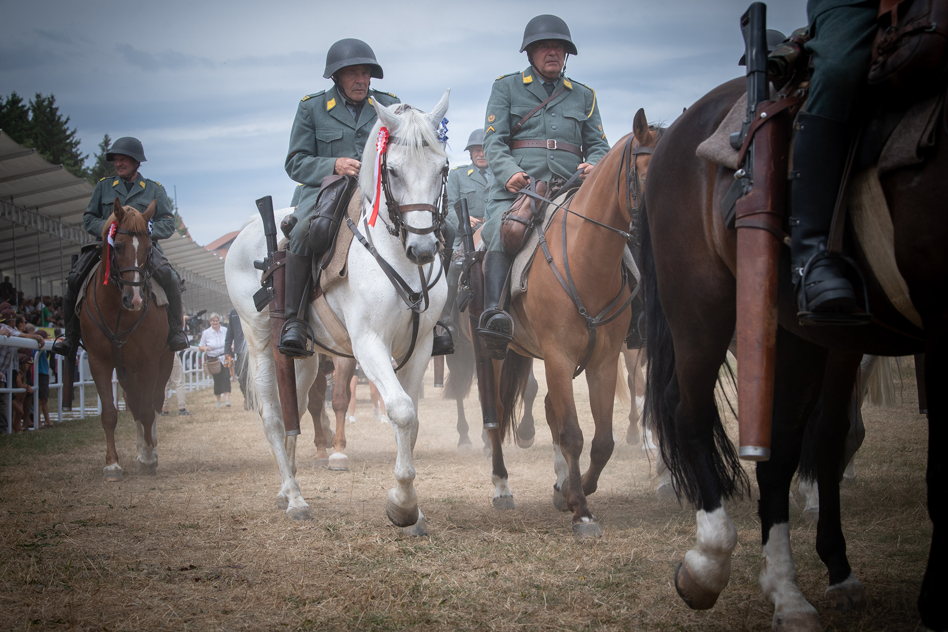 DRAGONS SUISSES 1972 - MARCHE-CONCOURS NATIONAL DE CHEVAUX DE SAIGNELEGIER - POUR LE MARCHE-CONCOURS - AOUT 2022