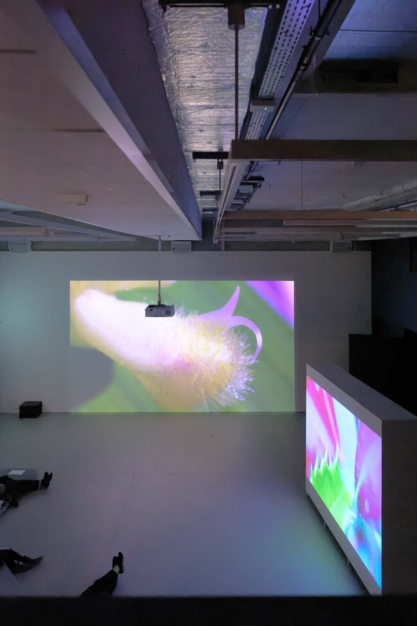 « VIDEO DATABASE » - CARTE BLANCHE A MARION INNOCENZI - FMAC - POUR LE FOND MUNICIPAL D’ART CONTEMPORAIN - VILLE DE GENEVE - FEVRIER 2024
