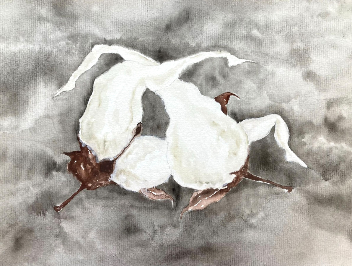 sem título, da série corpo algodão, 2023 aquarela sobre papel 21 x 29,7 cm