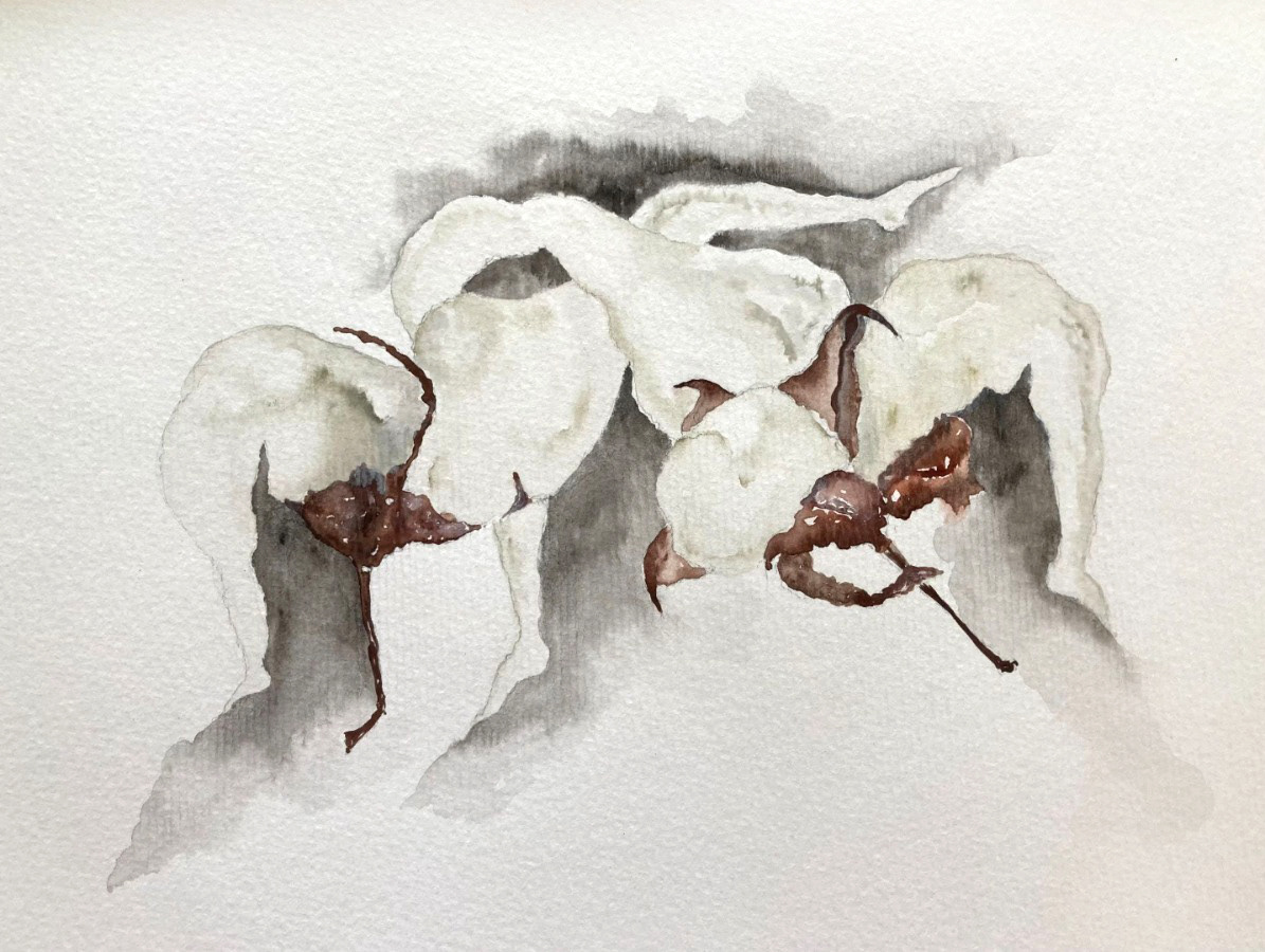 sem título, da série corpo algodão, 2023 aquarela sobre papel 21 x 29,7 cm