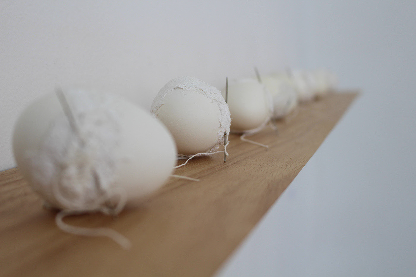 Quando nascer (ou morrer) não é uma escolha,2019  fotografia©Bruna Freitas