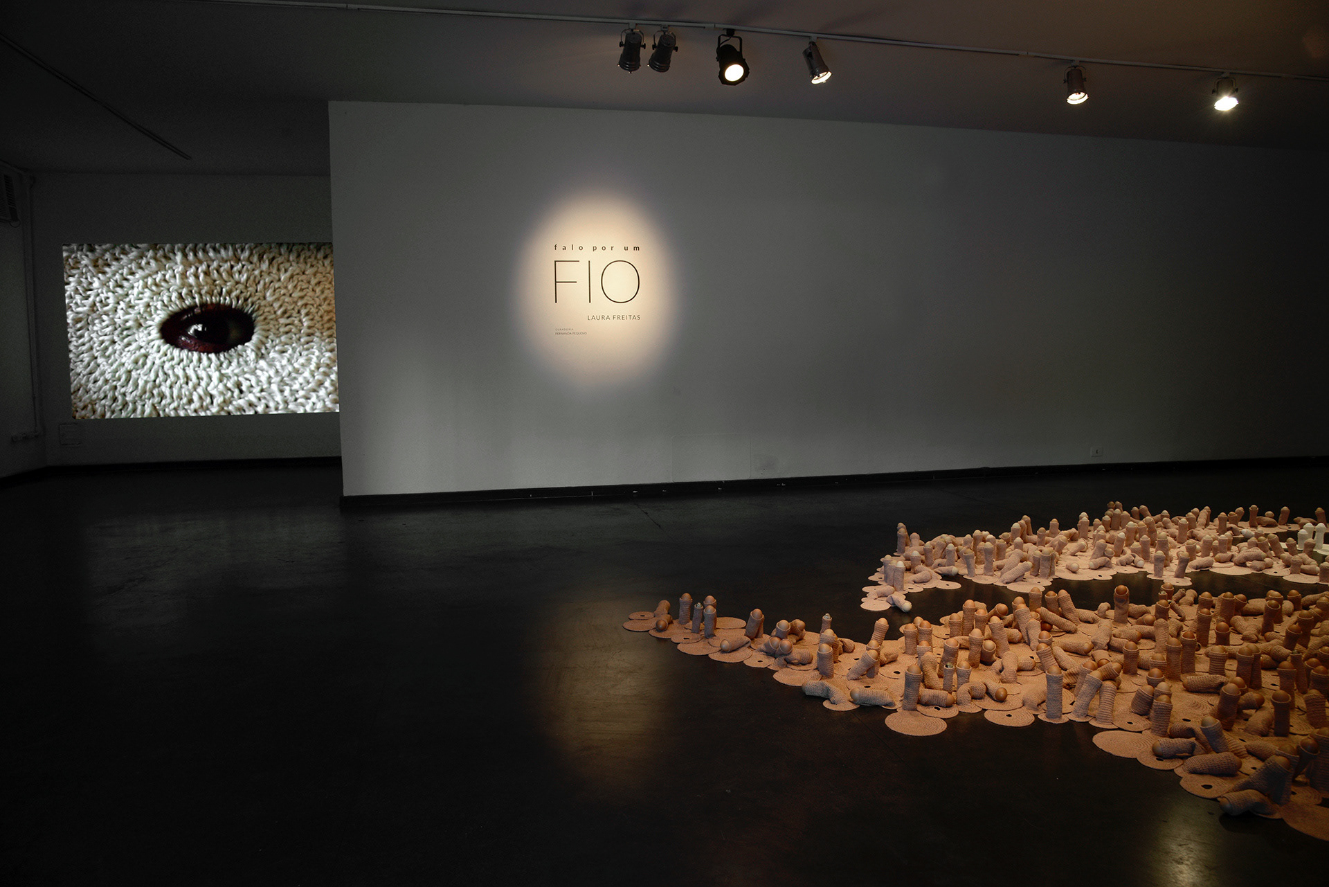 Falo por um Fio, 2019