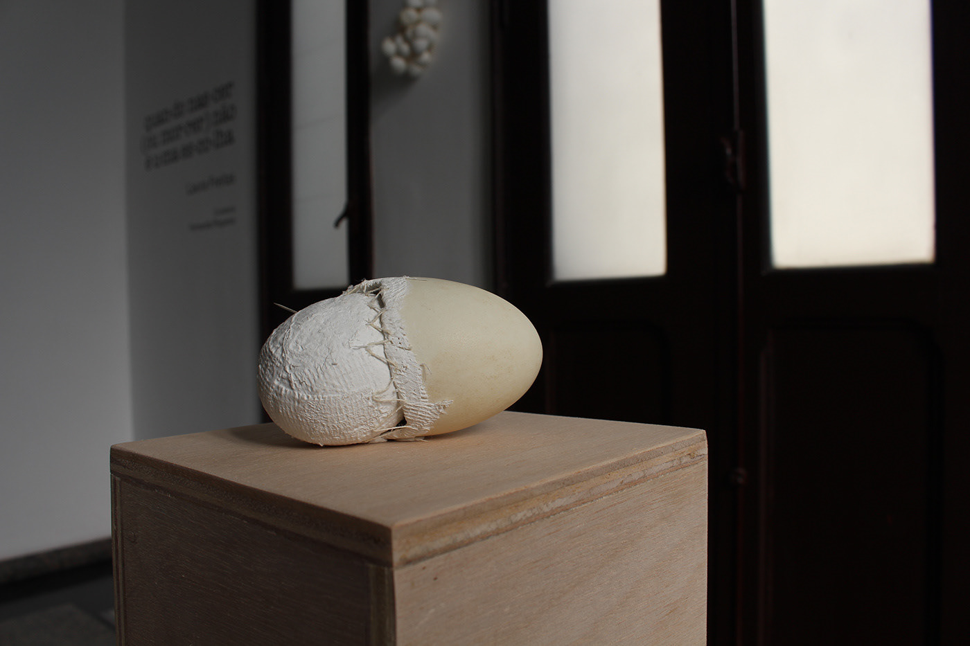 Quando nascer (ou morrer) não é uma escolha,2019  fotografia©Bruna Freitas