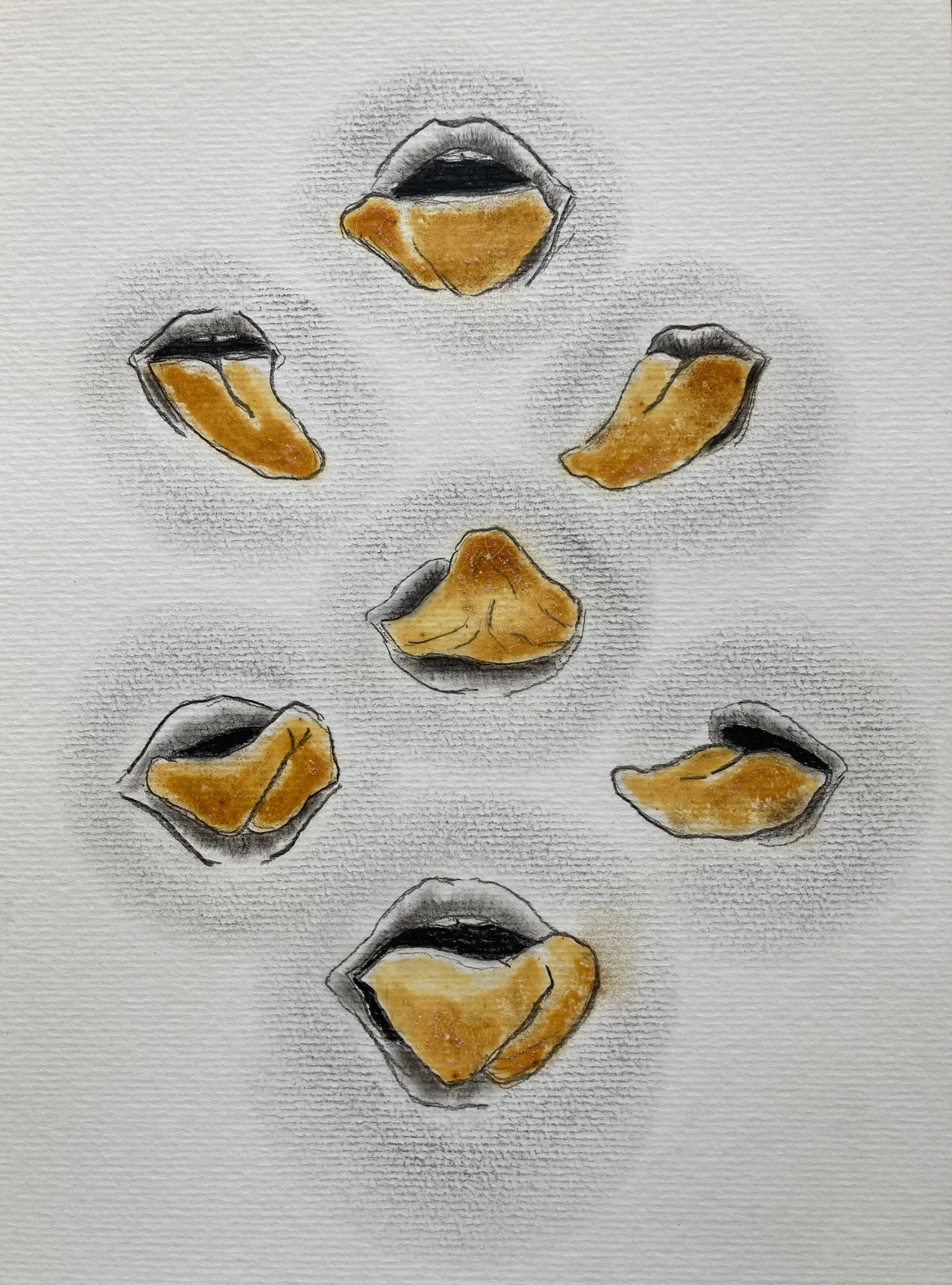 As sete línguas 2, da série estudos de língua, 2018. Grafite e gema de ovo sobre papel canson 300g/m2 A4