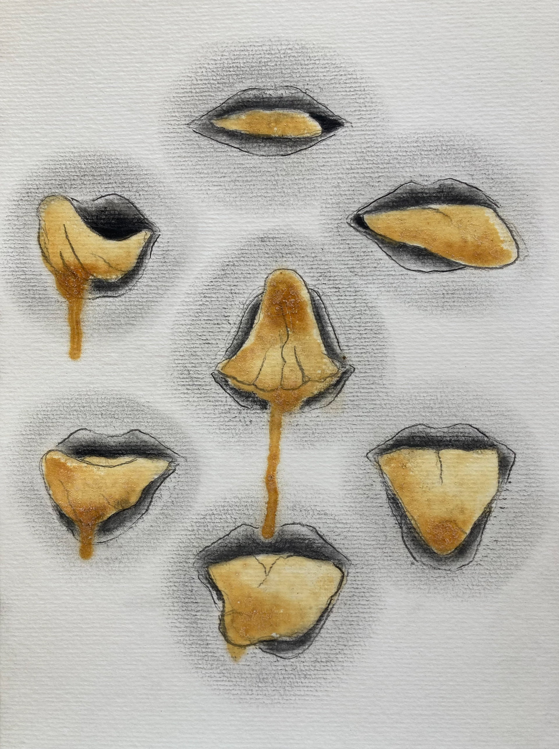 As sete línguas 3, da série Estudos de língua, 2018. Grafite e gema de ovo sobre papel canson 300g/m2 A4.