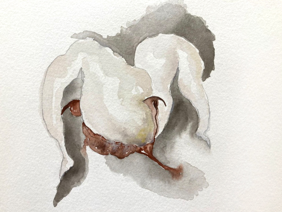 sem título, da série corpo algodão, 2023 aquarela sobre papel 14,8 x 21 cm