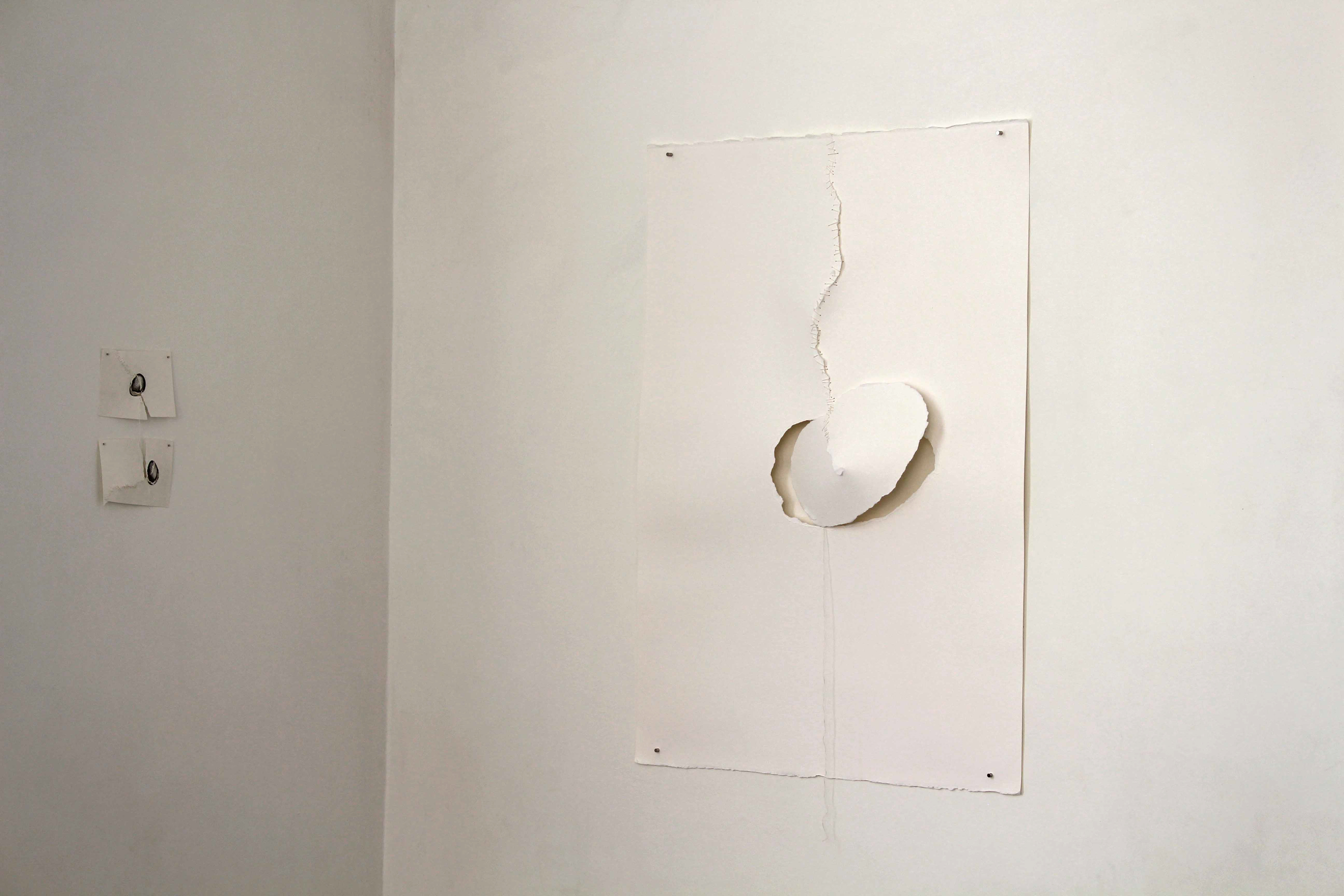 Quando nascer (ou morrer) não é uma escolha,2019  fotografia©Bruna Freitas