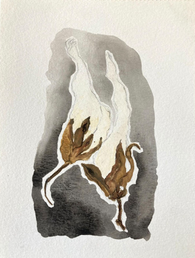 sem título, da série corpo algodão, 2023 aquarela sobre papel  21 x 14,8 cm