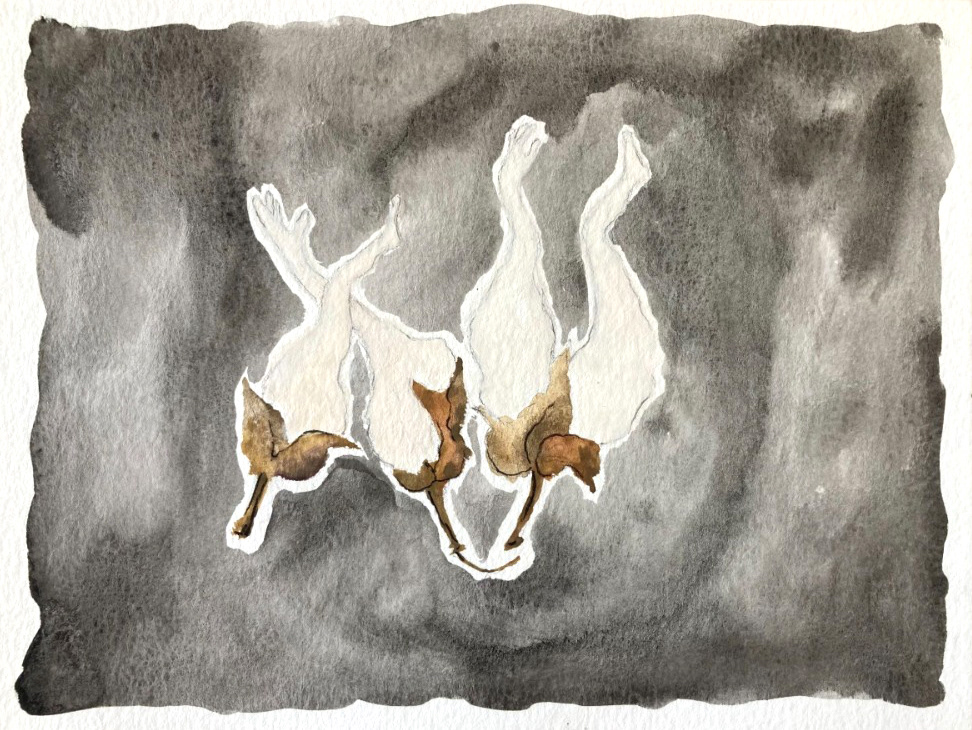 sem título, da série corpo algodão, 2023 aquarela sobre papel 14,8 x 21 cm