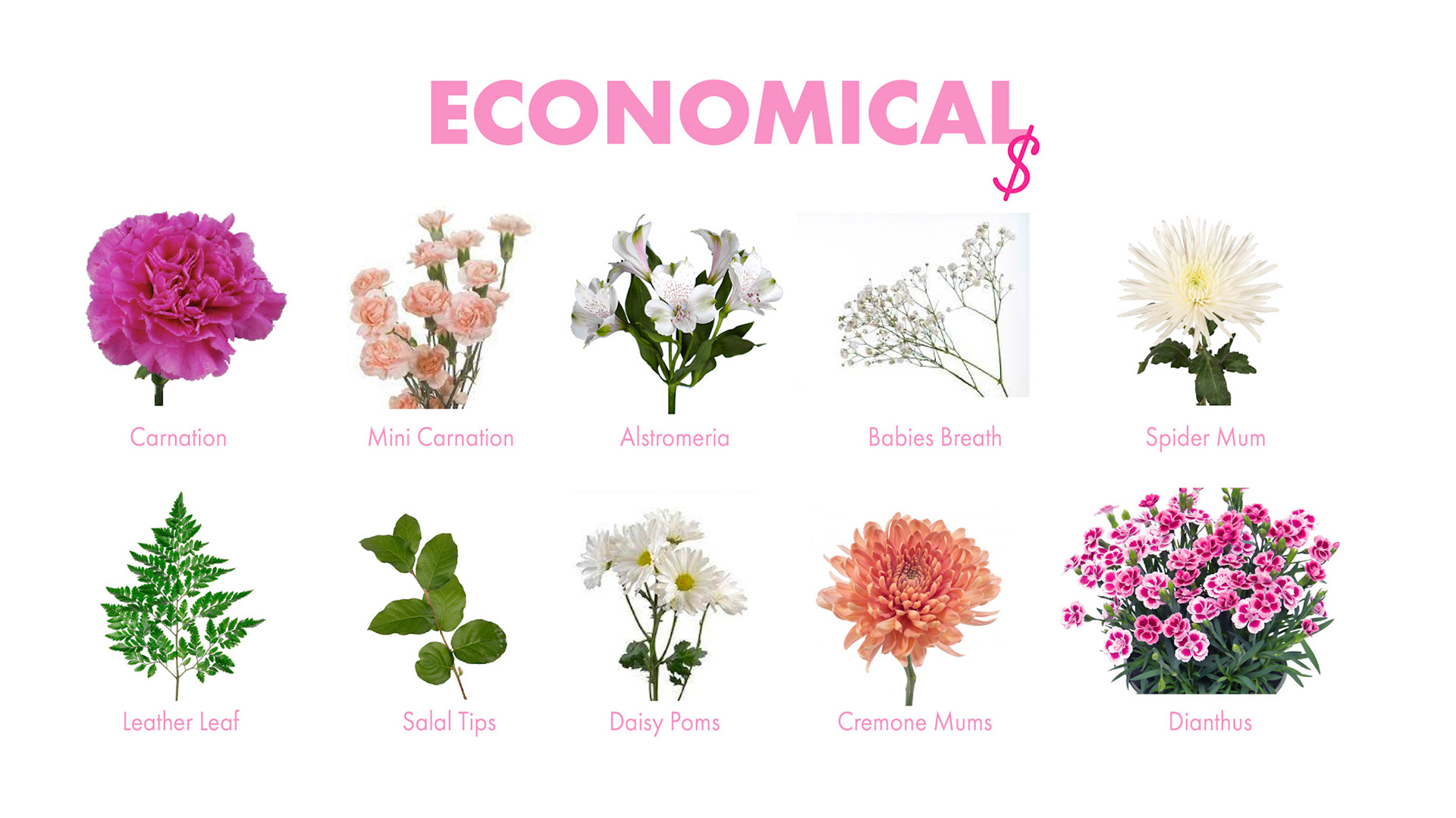 PinkPeonyPricingGuide